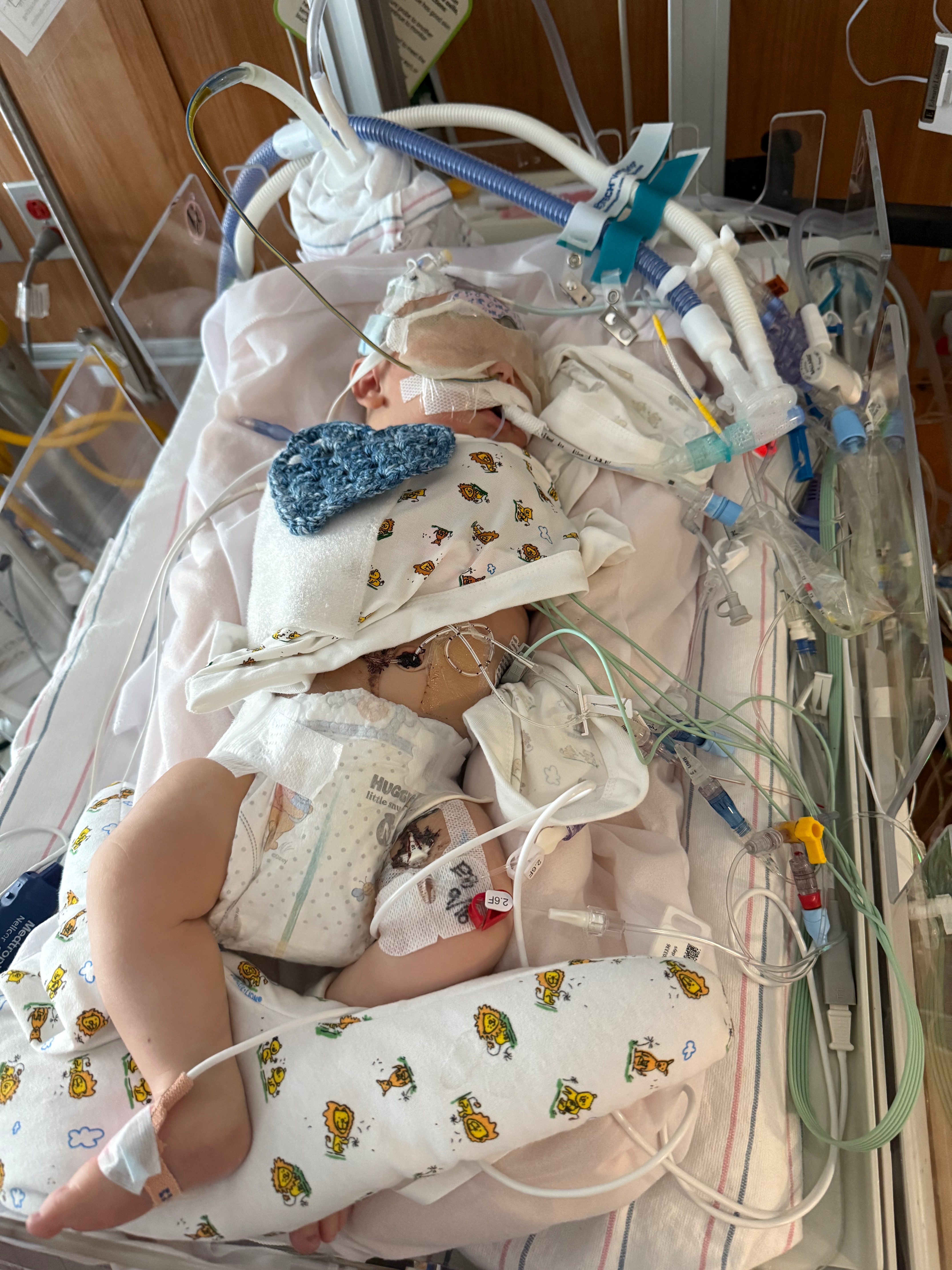 Baby Mav campaign photo, 2 of 5