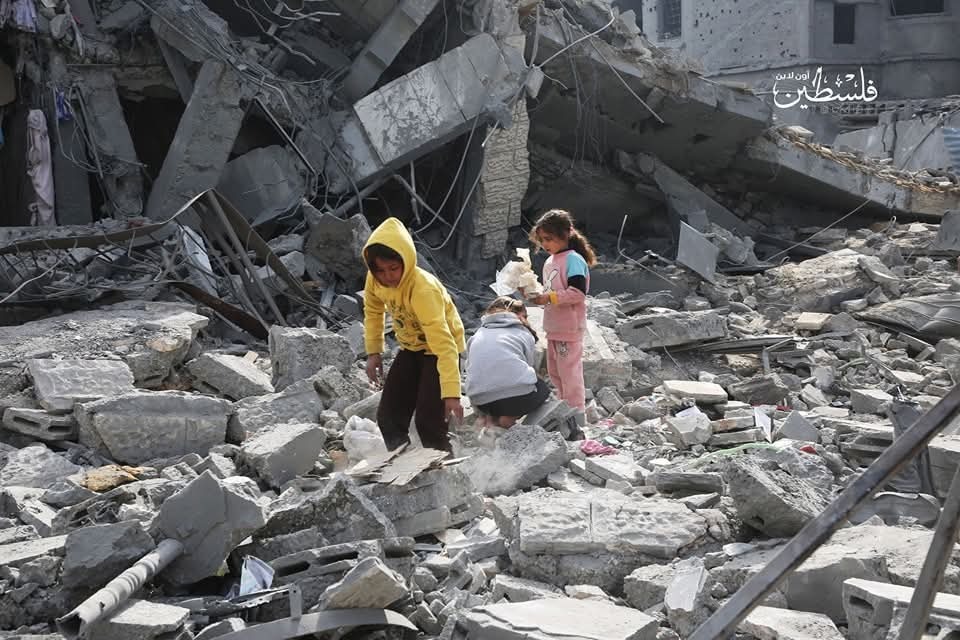 ✦ Urgent appeal from Gaza I am [bader ], a resident of Gaza campaign photo, 2 of 4