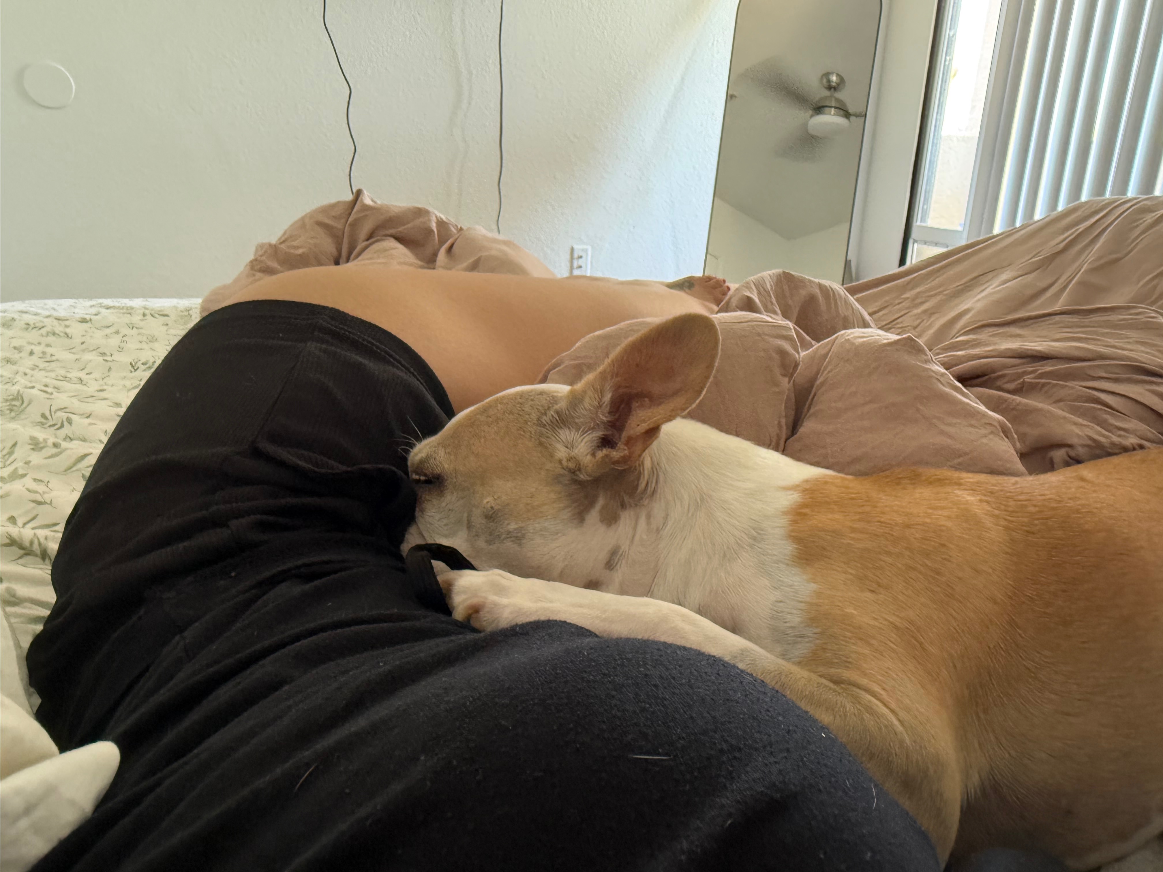 Help Beans Beat Cancer: Support His Surgery campaign photo, 4 of 7