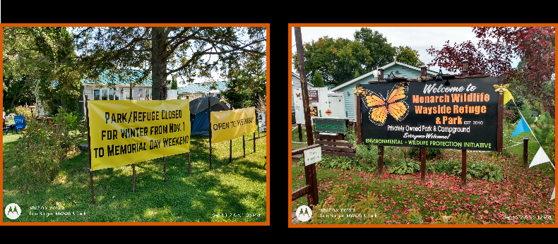 Help Us Build a Park Where Wildlife an People Find Sanctuary campaign photo, 4 of 8