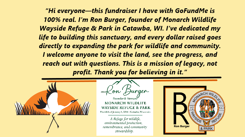 Help Us Build a Park Where Wildlife an People Find Sanctuary campaign photo, 5 of 8