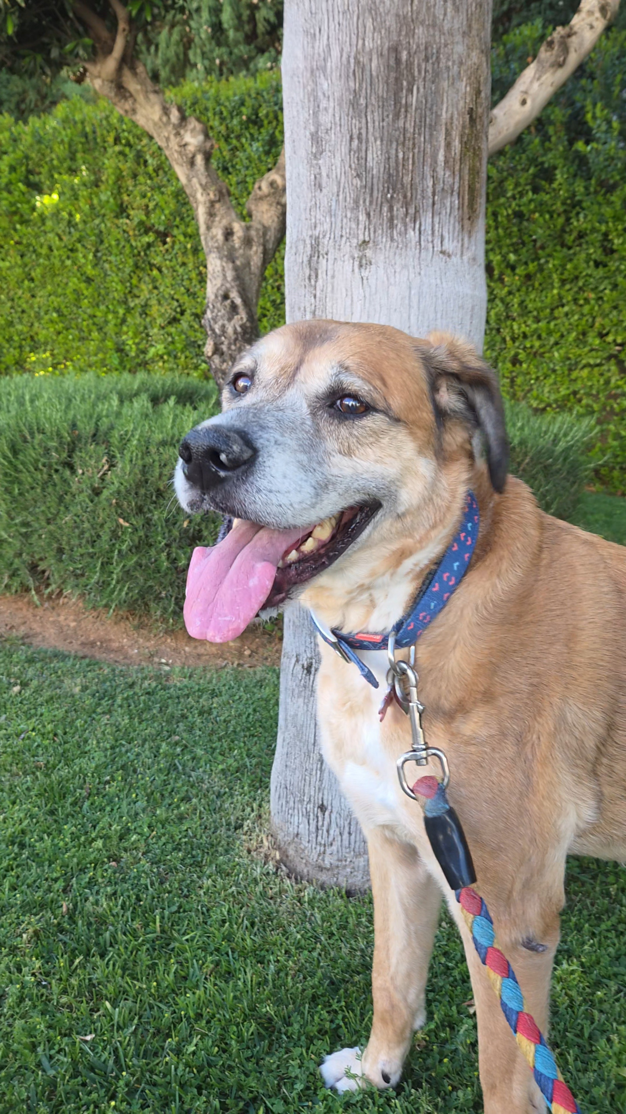 Help Riley Fight for His Life campaign photo, 2 of 8