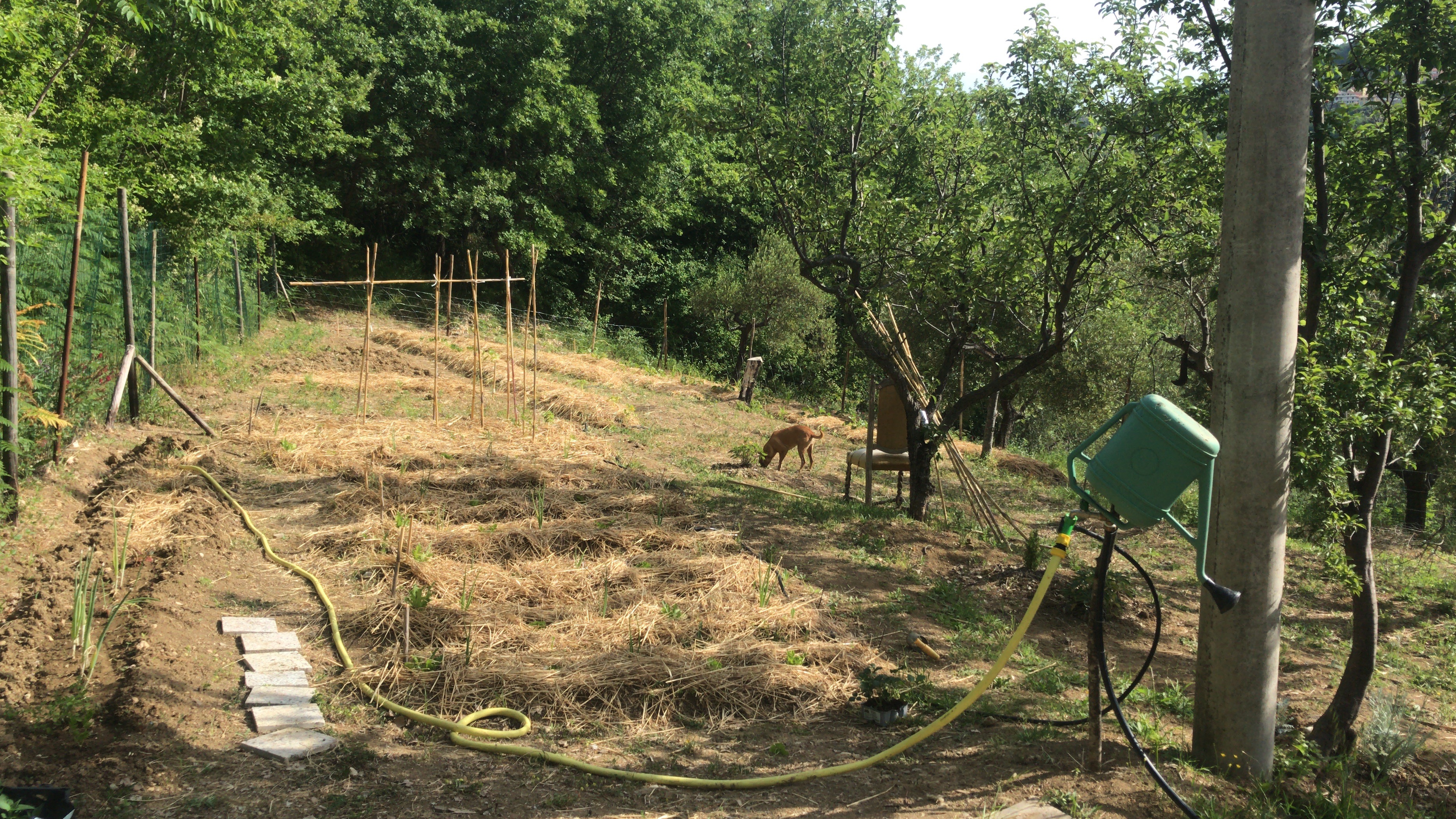 FRUTTABOSCOconSENTIERO: AGRICOLURArigenerativa&Collettività campaign photo, 6 of 8