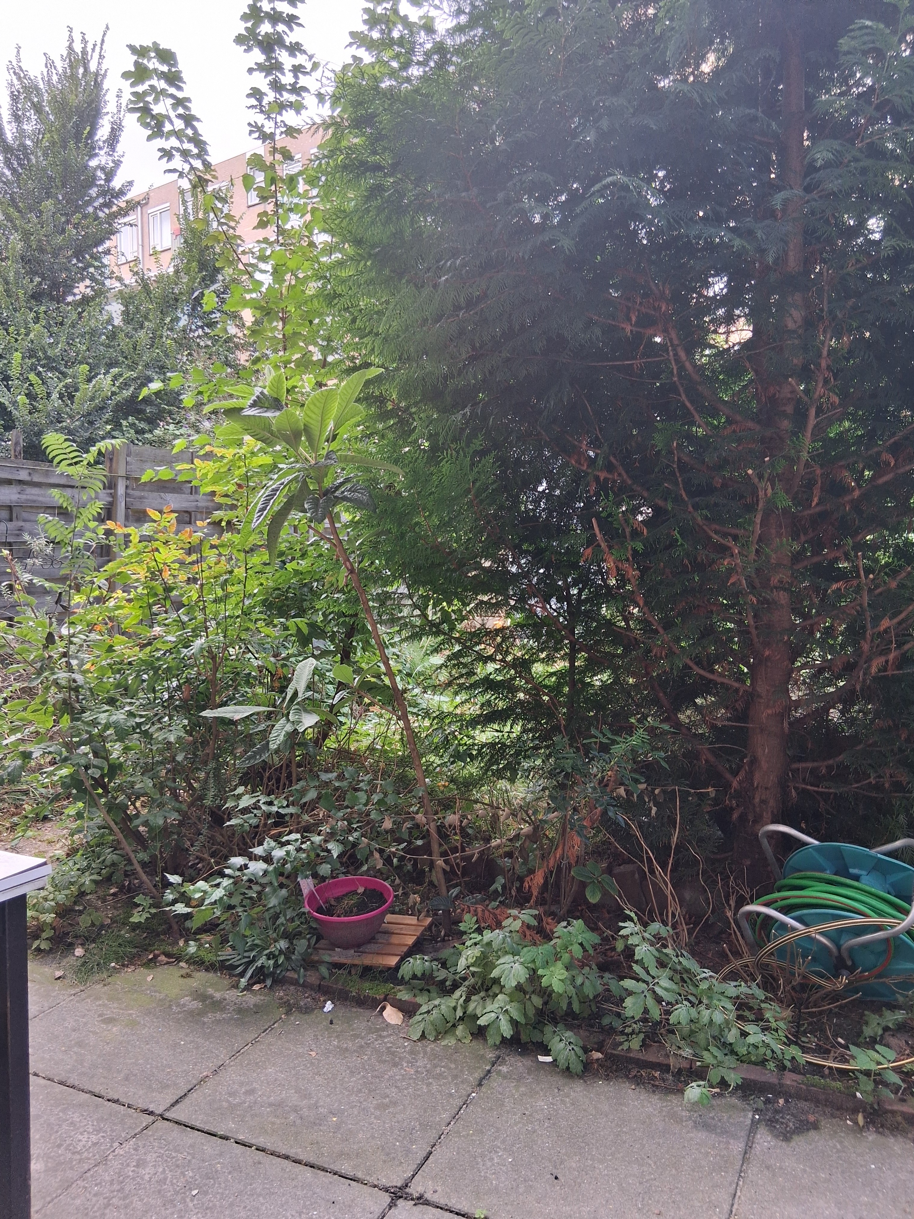 YardLegend helpt Jamila aan een droomtuin campaign photo, 4 of 8