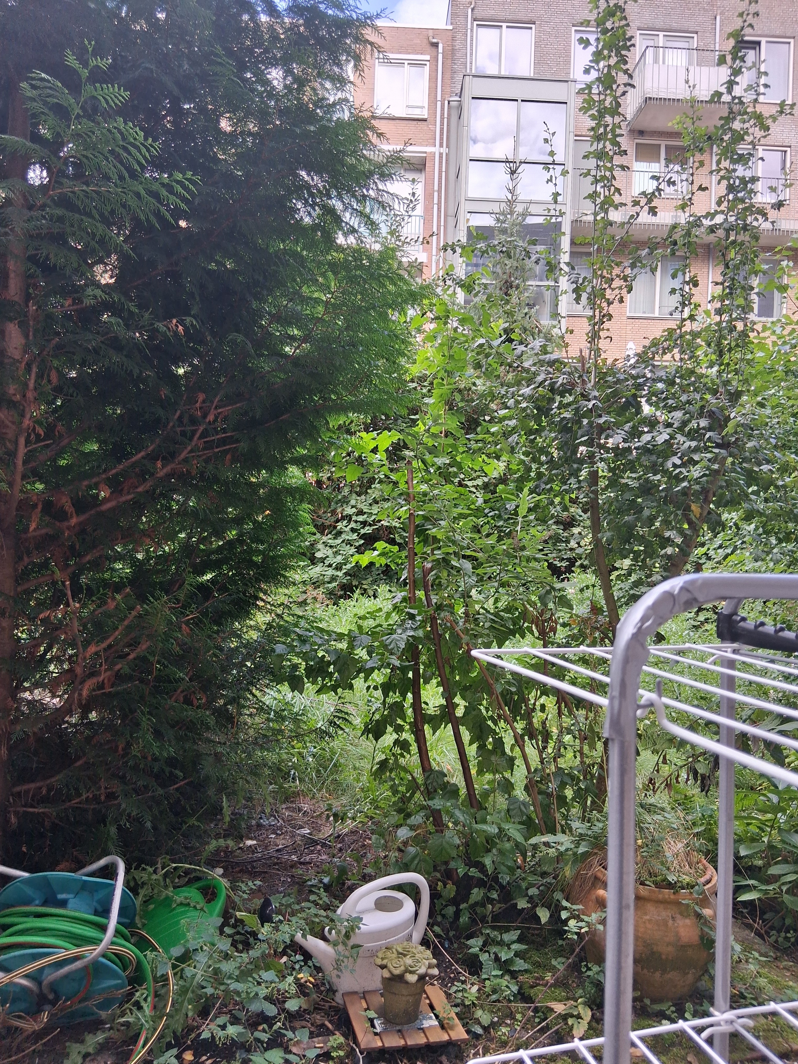 YardLegend helpt Jamila aan een droomtuin campaign photo, 5 of 8