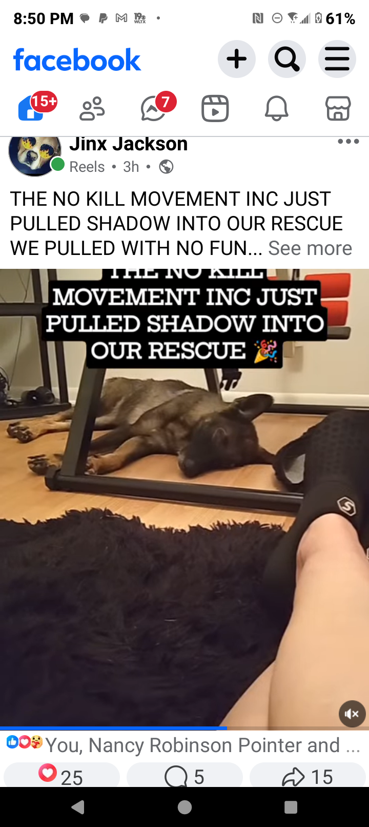 Support Shadows Recovery with The No Kill Movement Inc campaign photo, 4 of 5
