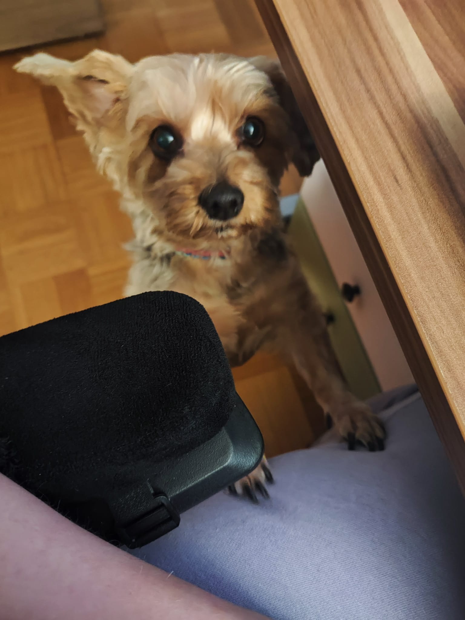 Damit die kleine Mira wieder schmerzfrei laufen kann campaign photo, 7 of 8