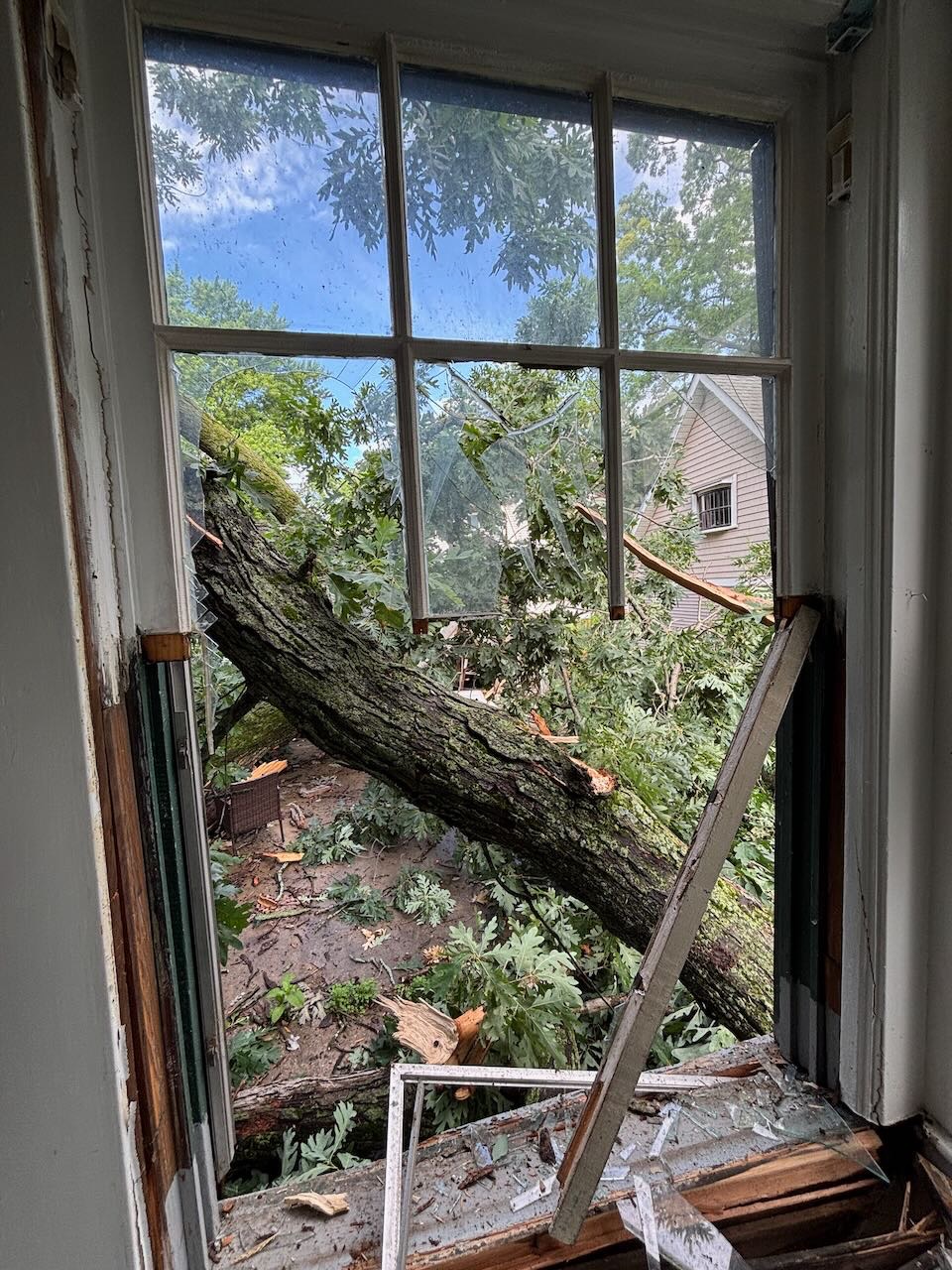 Help Replace My Car & Rebuild After Tree Disaster campaign photo, 2 of 8
