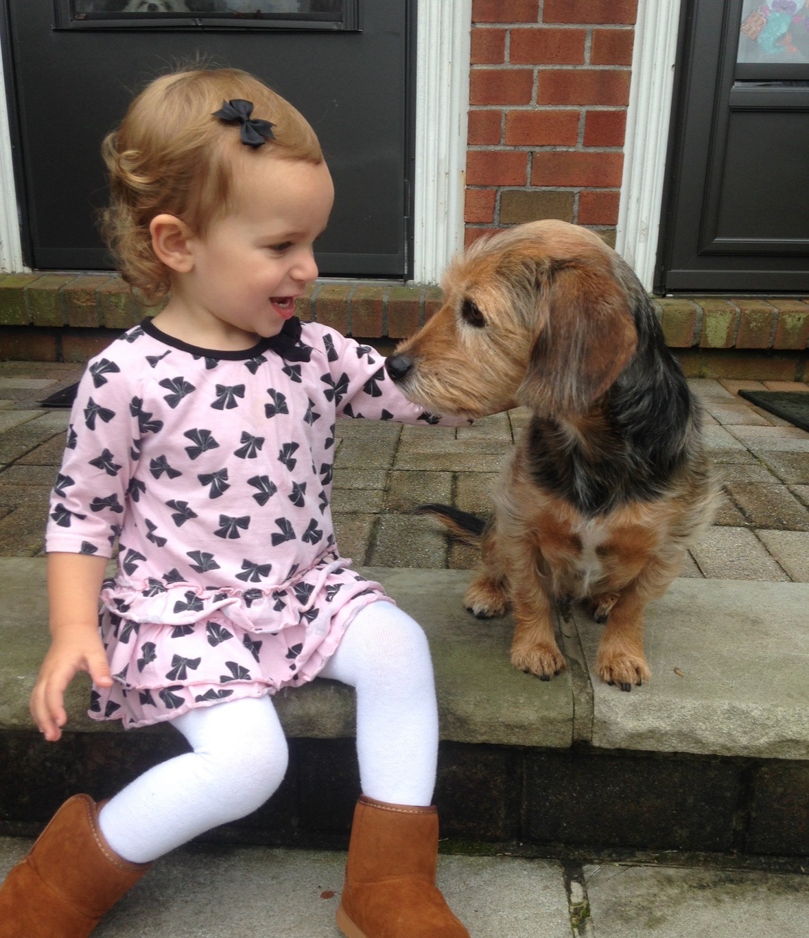 Help Cover Dixie’s End of Life Medical Bills campaign photo, 2 of 8