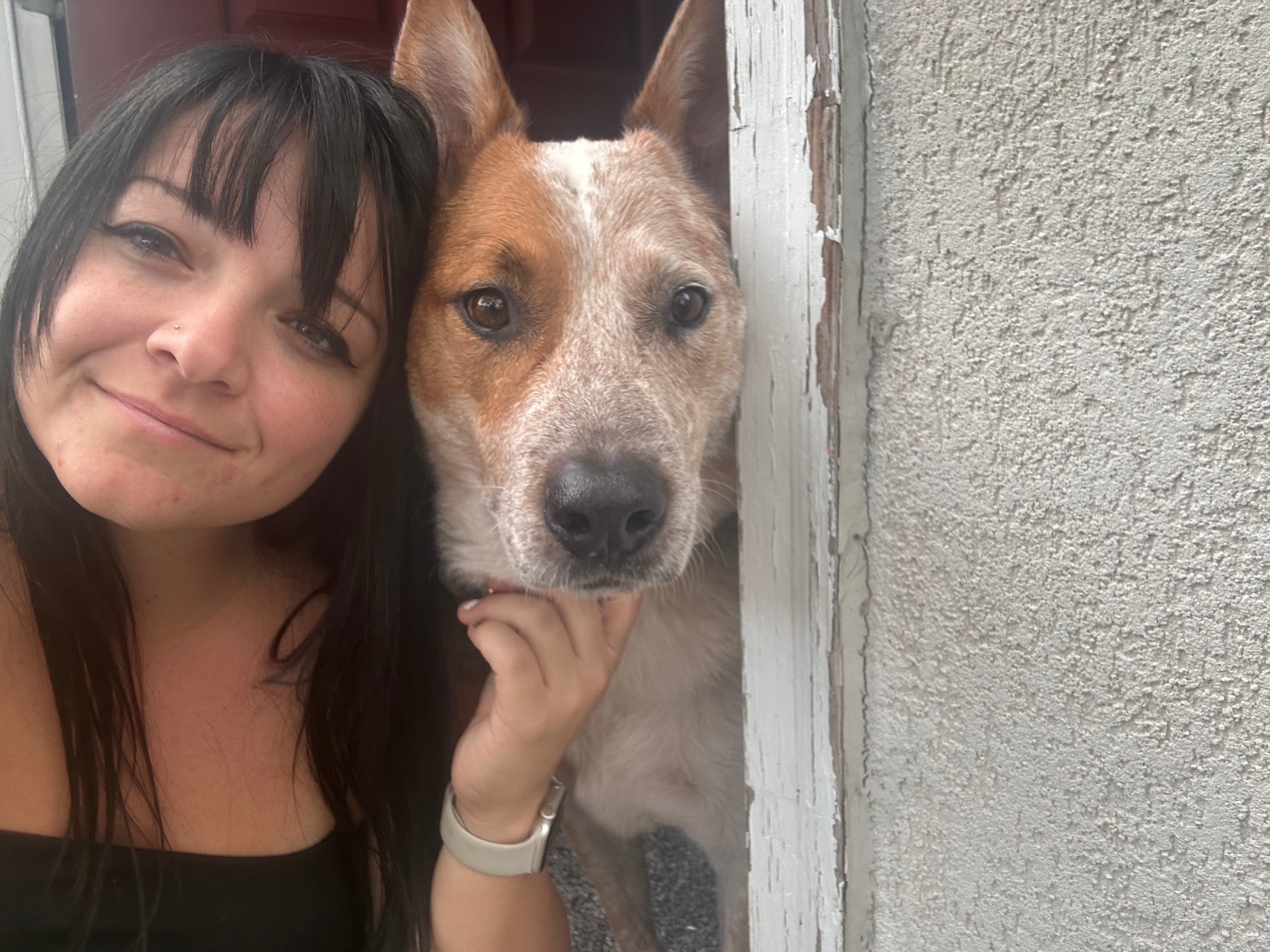 Help save Slash - Urgent vet care needed campaign photo, 4 of 7