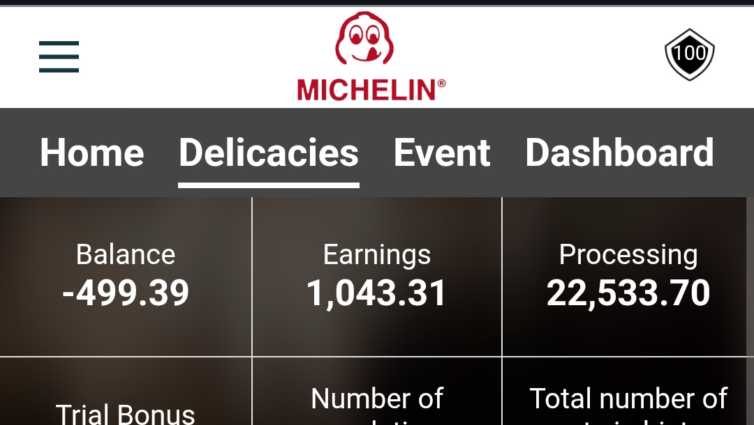 Scammed by sophisticated crminals- Michelin photo