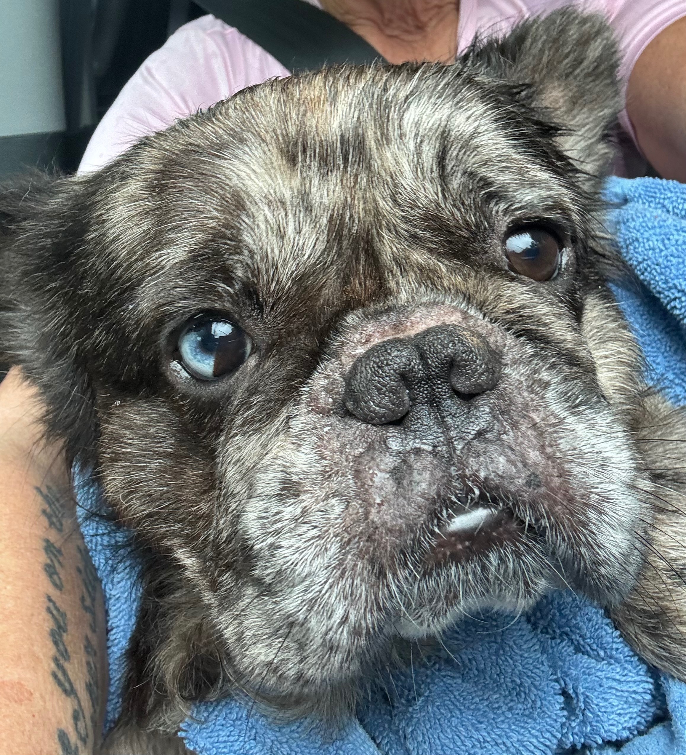 Help Gus and Joi Breathe Easy: Support his Surgery campaign photo, 4 of 7
