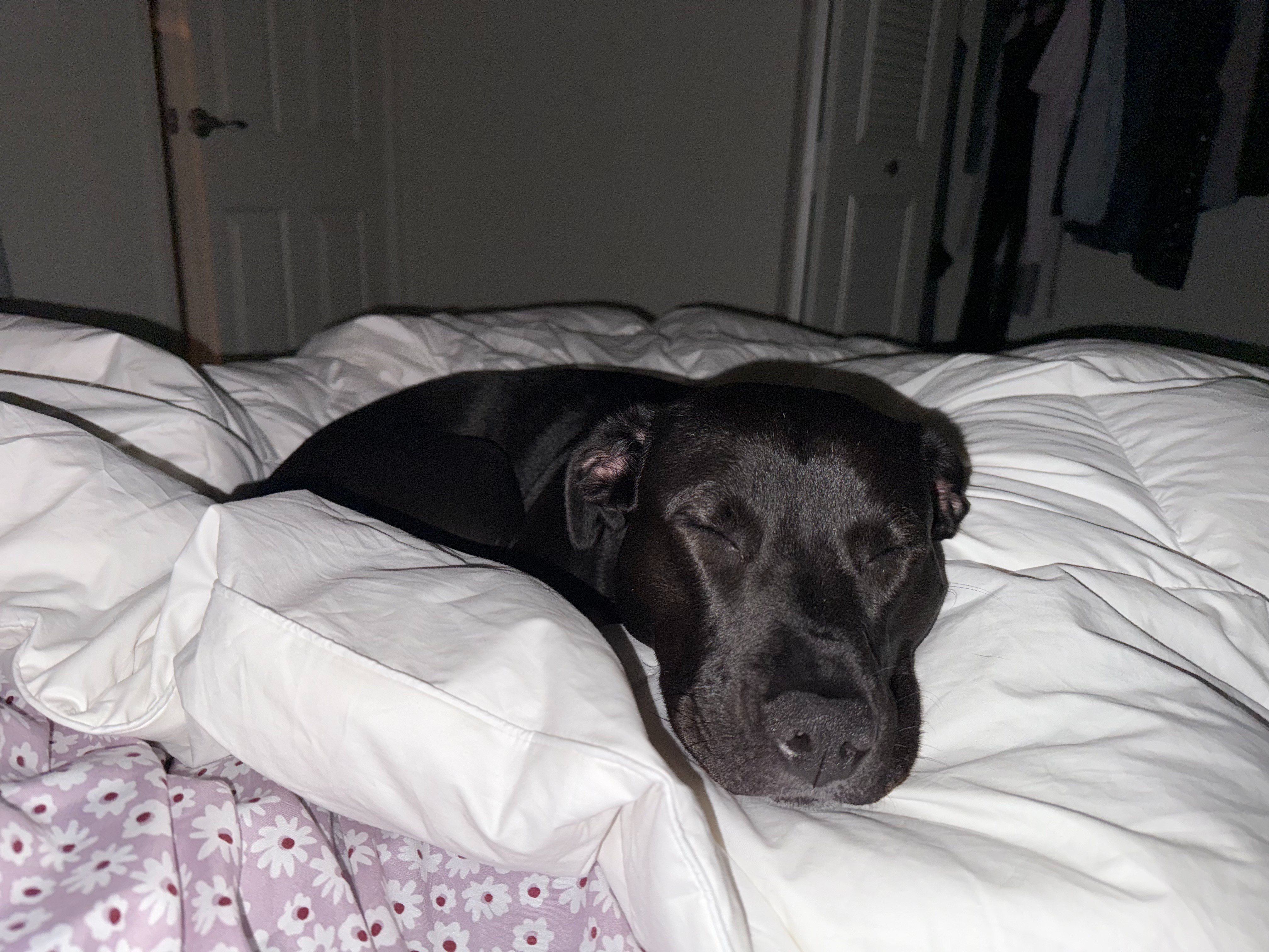 Help Rosie Get the Training She Needs campaign photo, 4 of 7