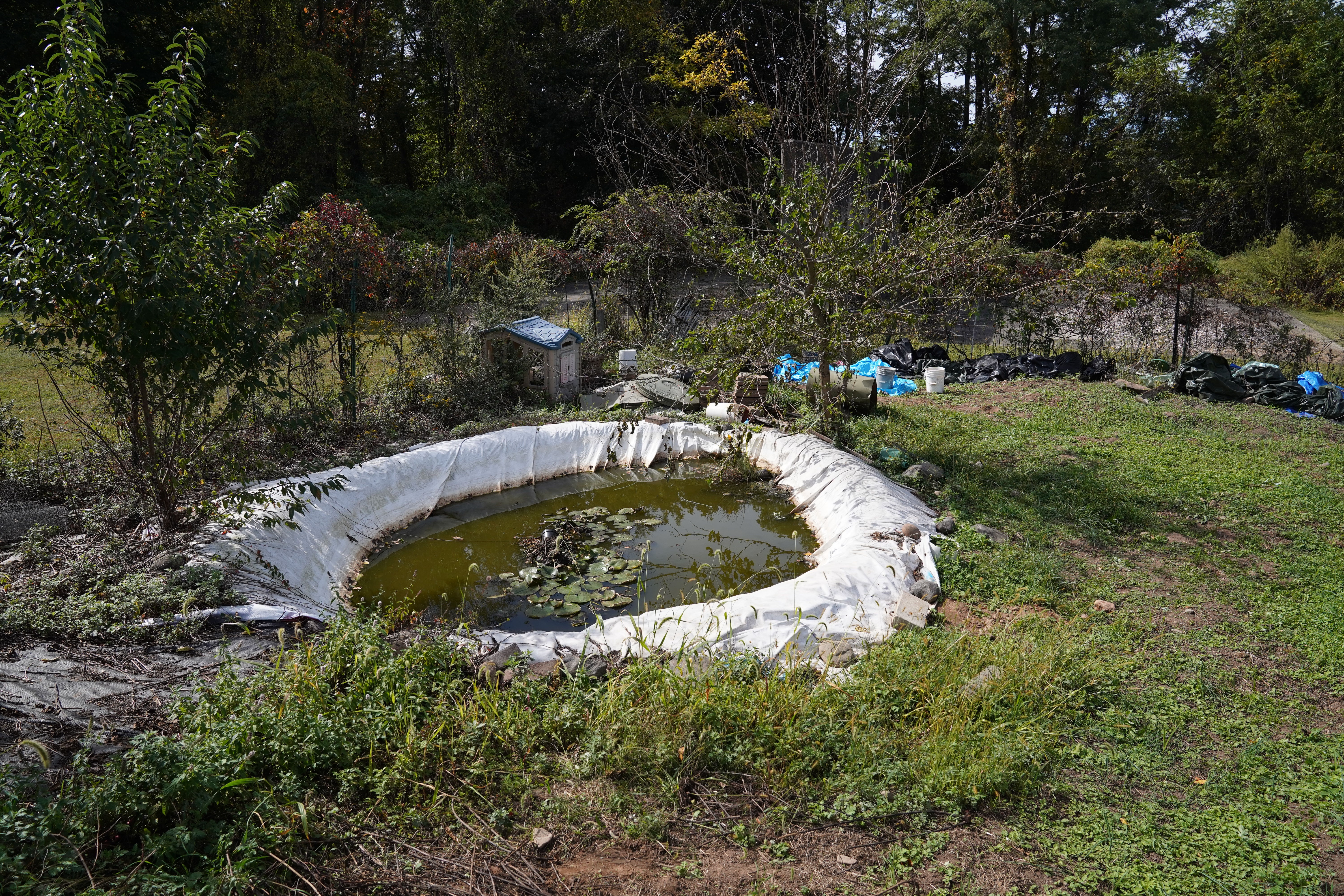 Restore the Old Garden with Jesus campaign photo, 2 of 8
