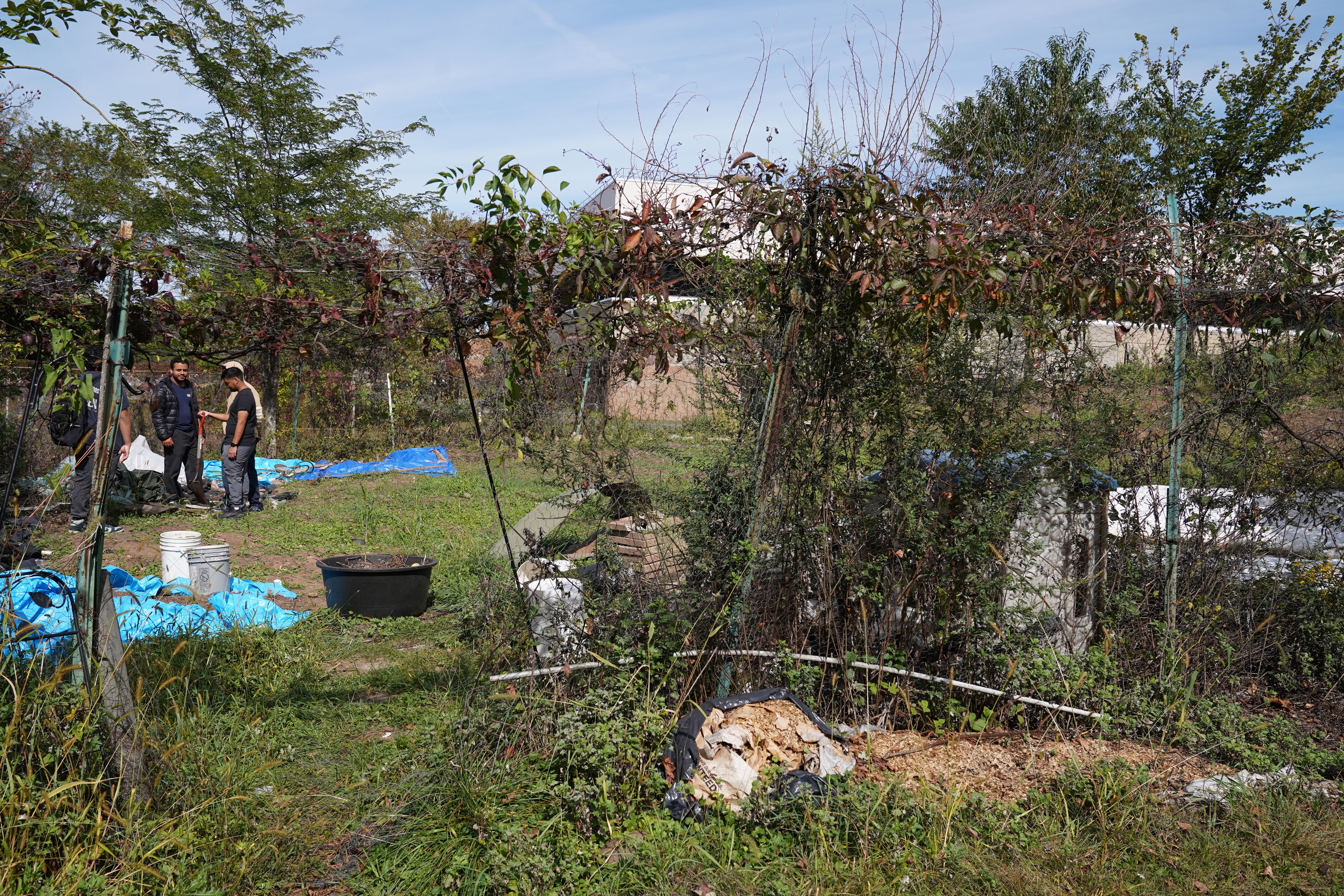 Restore the Old Garden with Jesus campaign photo, 6 of 8