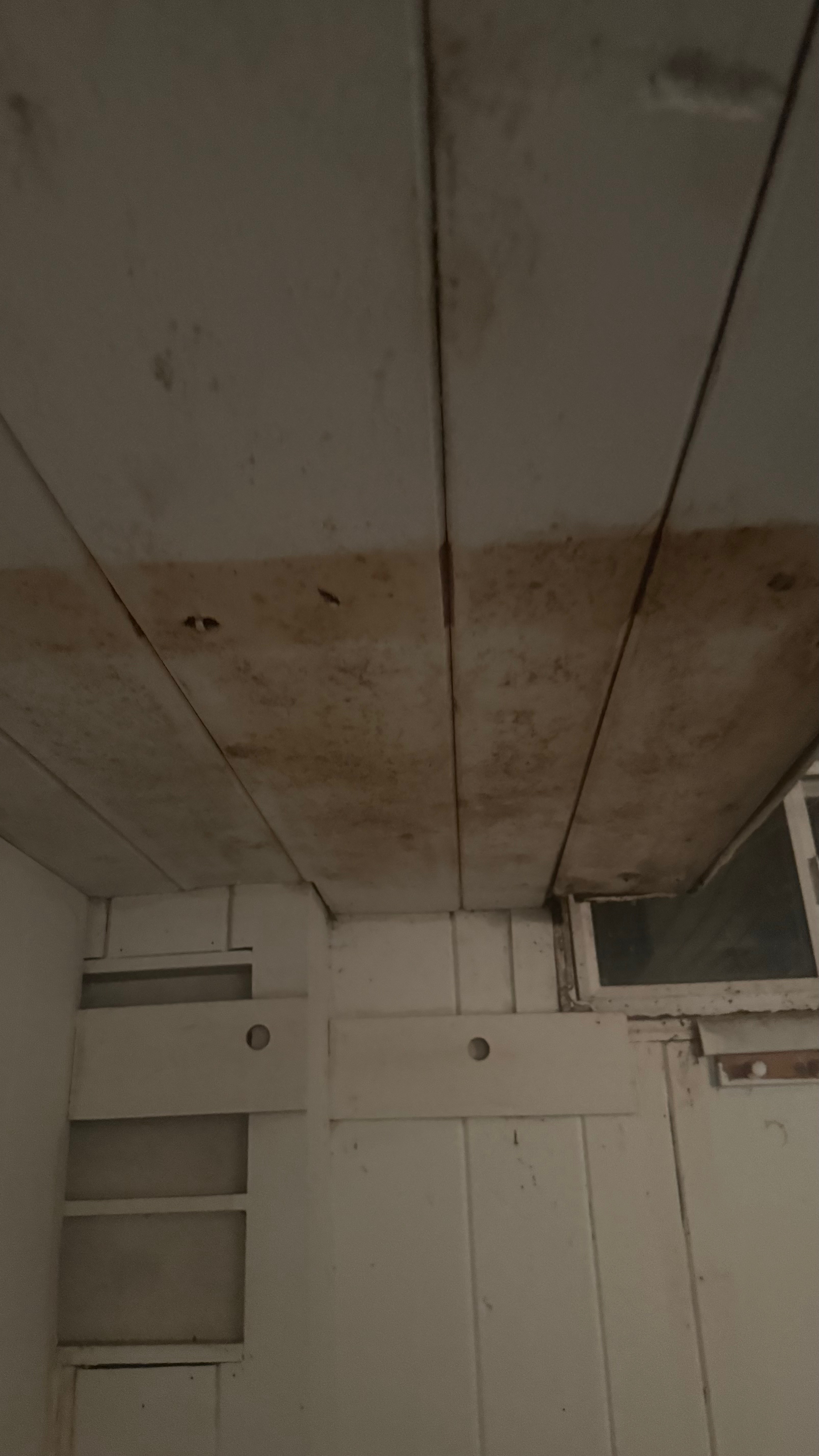 Mold Crisis: SaucedoFamily, Help Us overcome this Bordentown campaign photo, 4 of 8