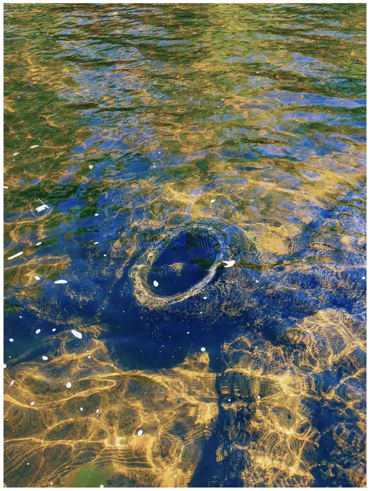 Support Brandon's Mission to Remove Tires from the River campaign photo, 9 of 13