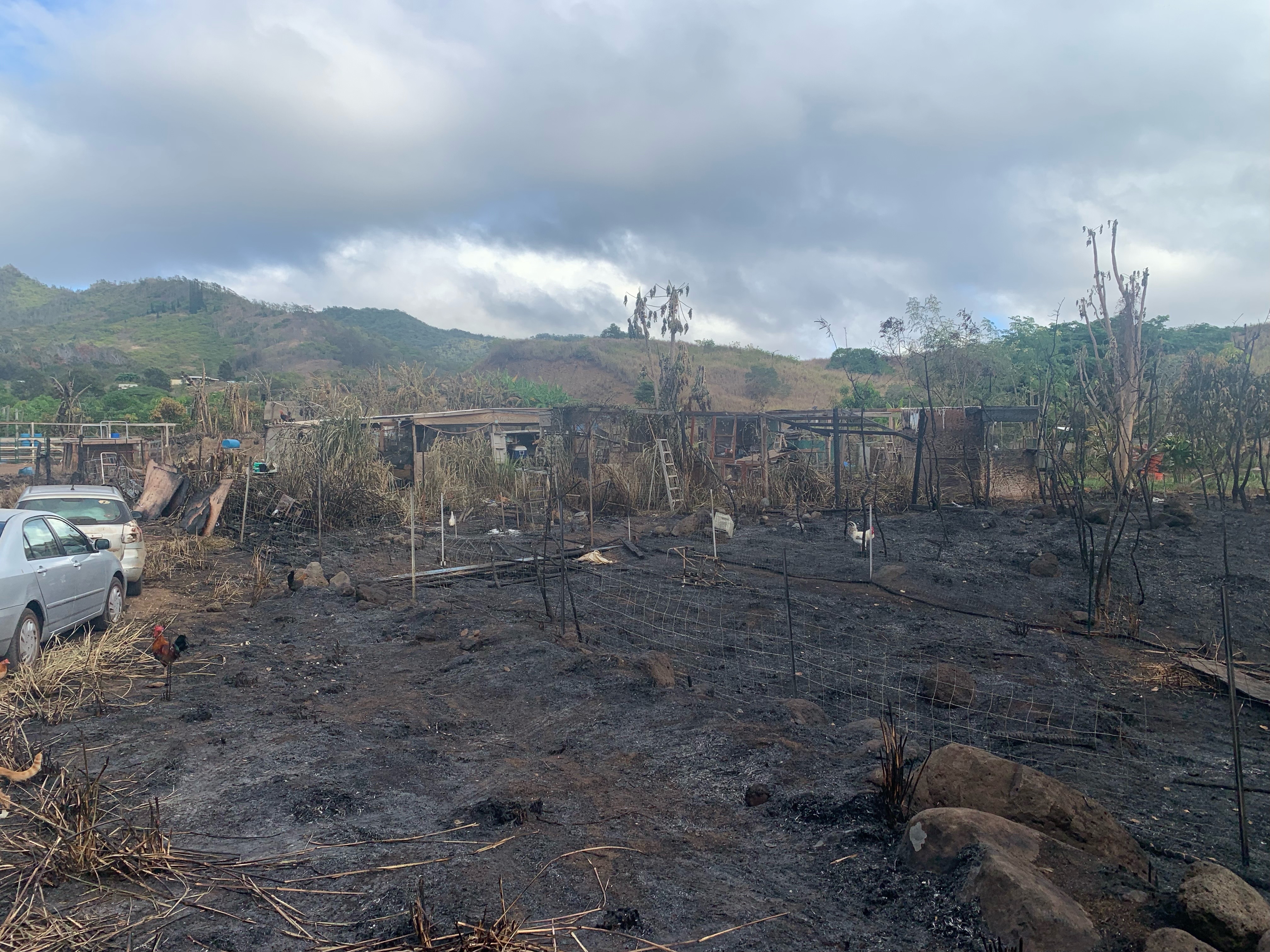 Support Chicken Paradise Hawaii’s Fire Recovery campaign photo, 2 of 8