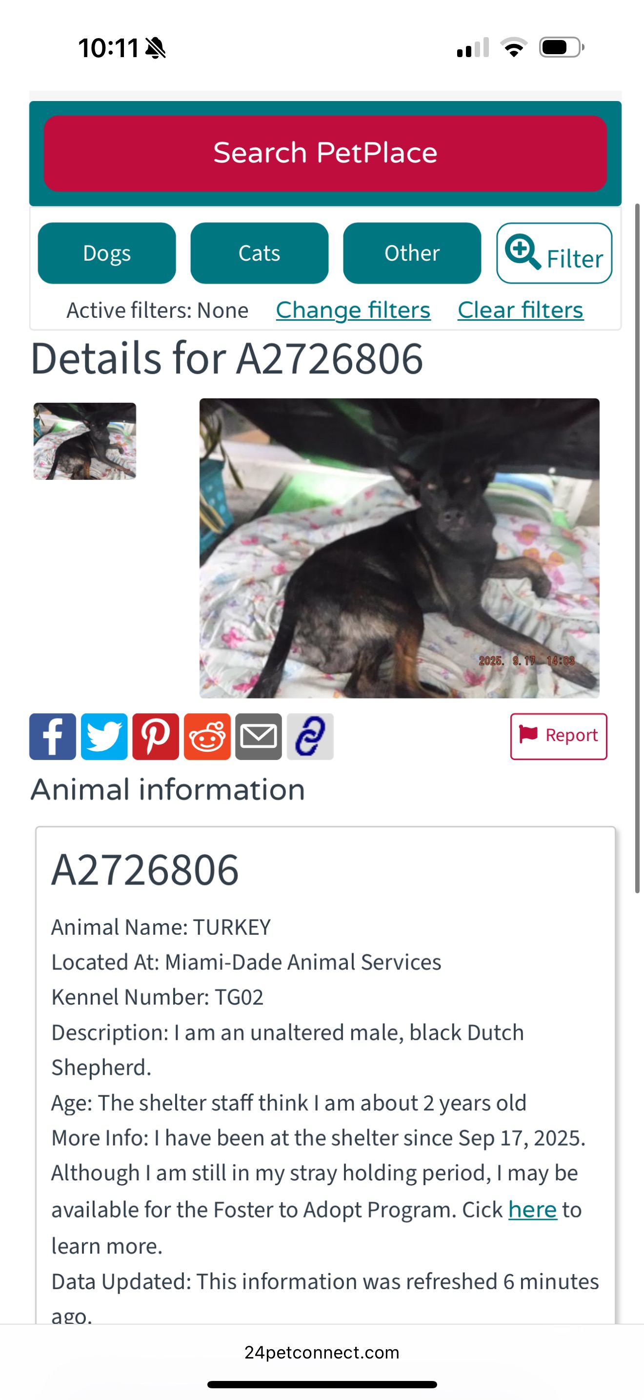 Help Turkey Walk Again - set to be euthanized 9.21 campaign photo, 4 of 4
