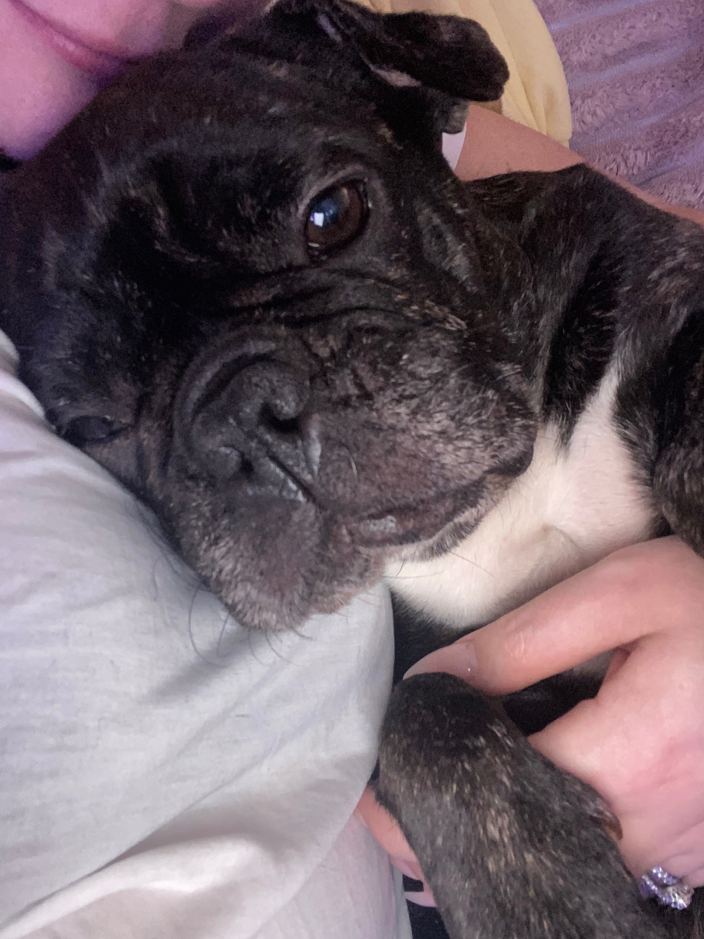 I am absolutely begging for some help for my girl please. campaign photo, 5 of 6