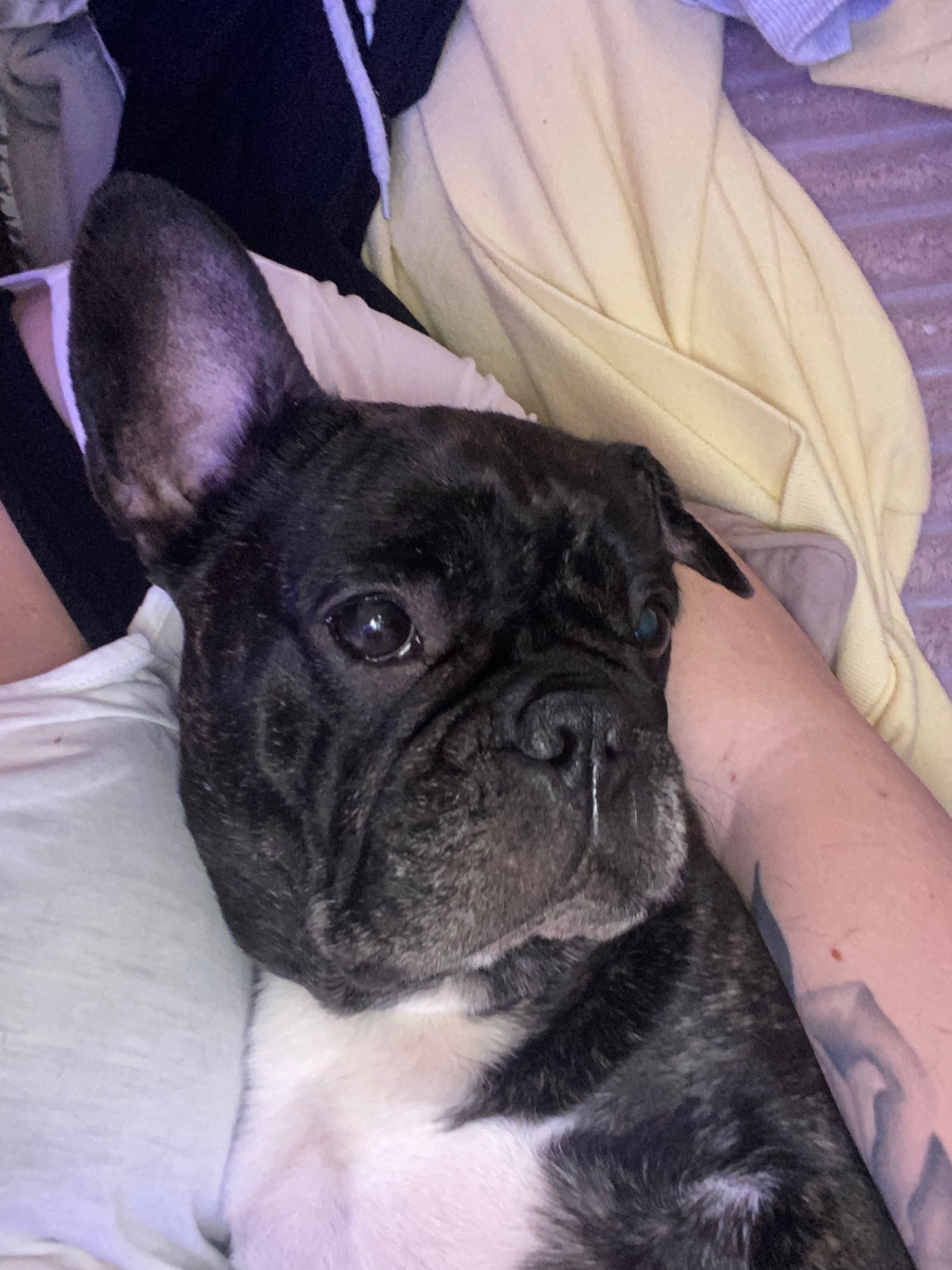 I am absolutely begging for some help for my girl please. campaign photo, 2 of 6