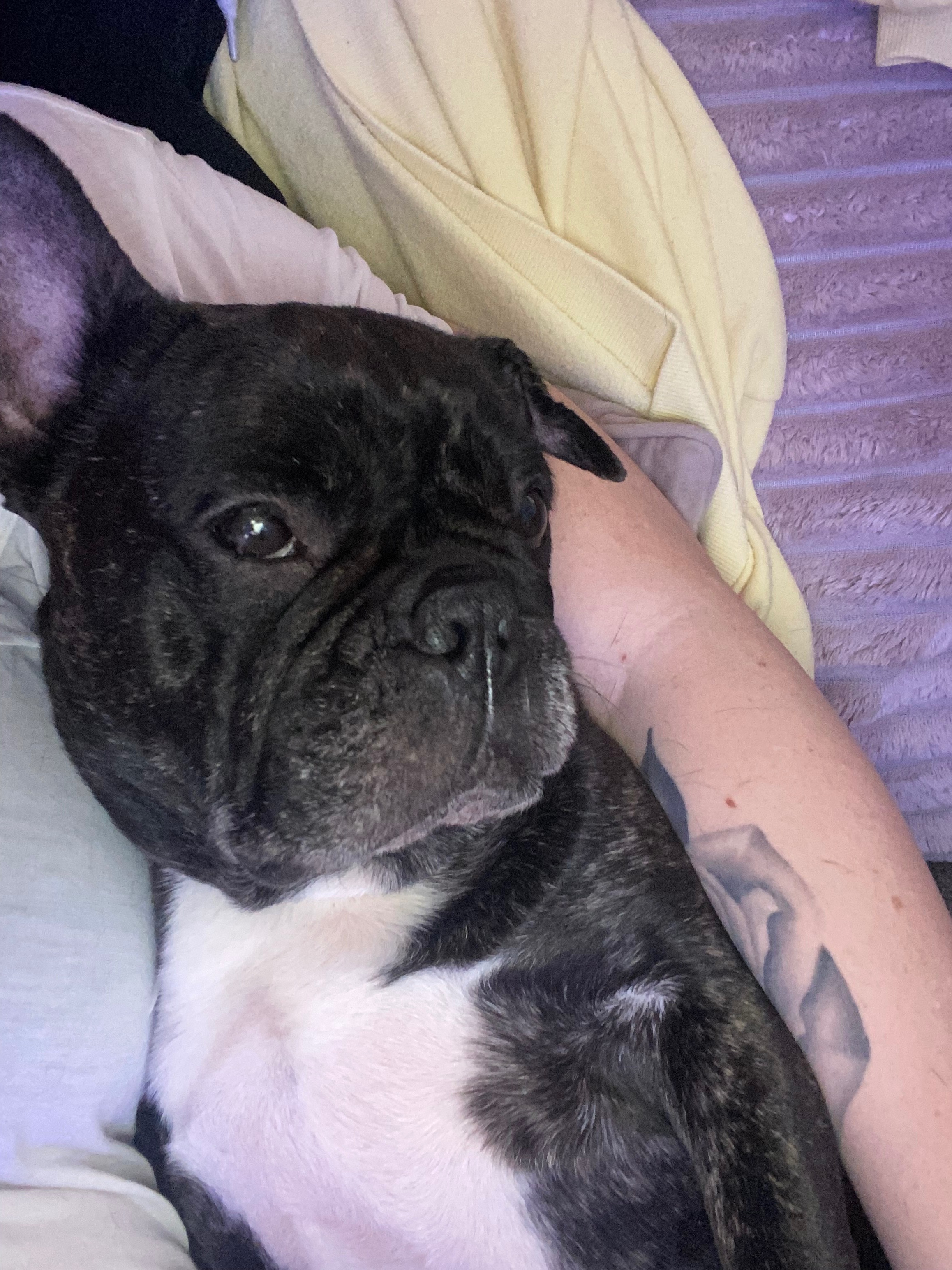 I am absolutely begging for some help for my girl please. campaign photo, 4 of 6