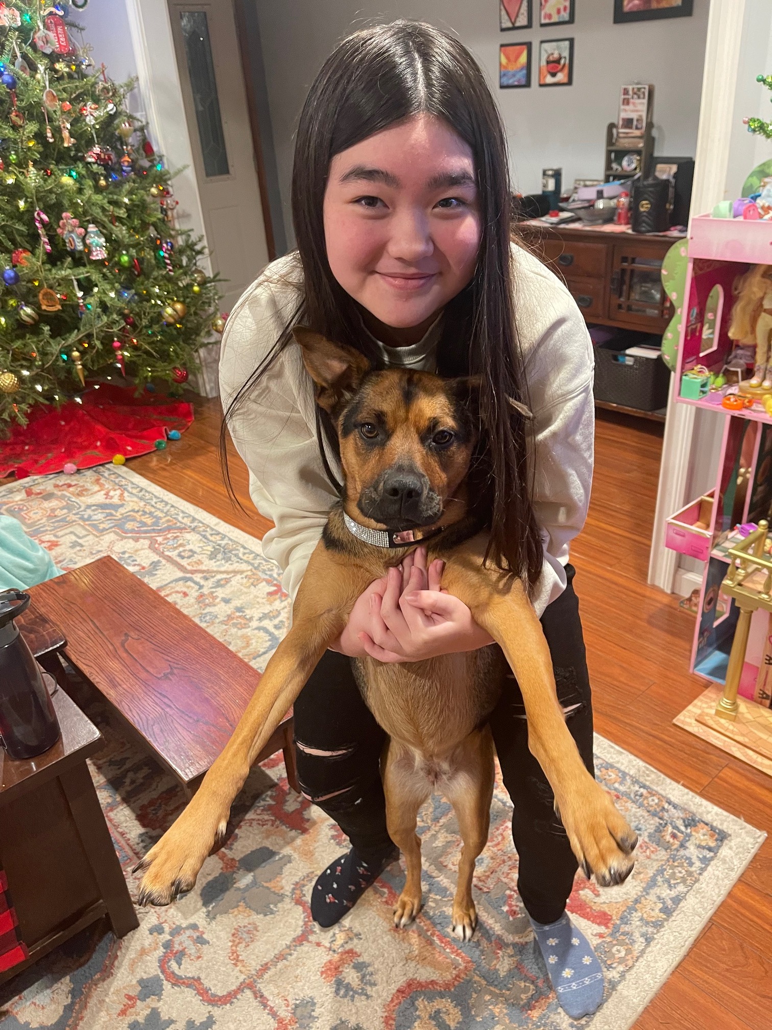 Help Judy & Her Family Save Their Pup, Lola campaign photo, 4 of 8