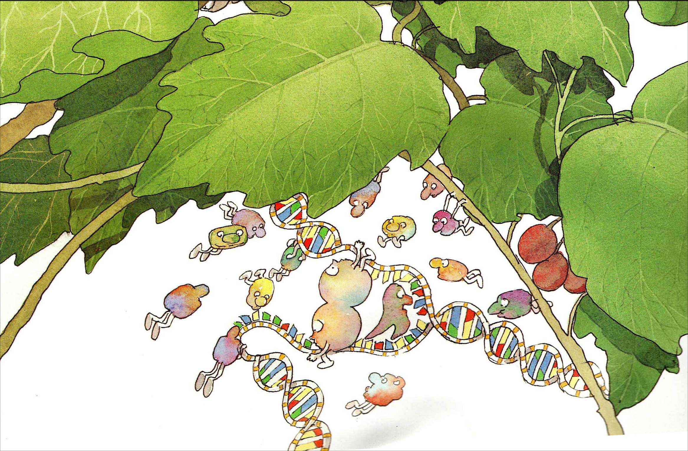 TeachDNA, an invitation to molecular biology campaign photo, 2 of 5