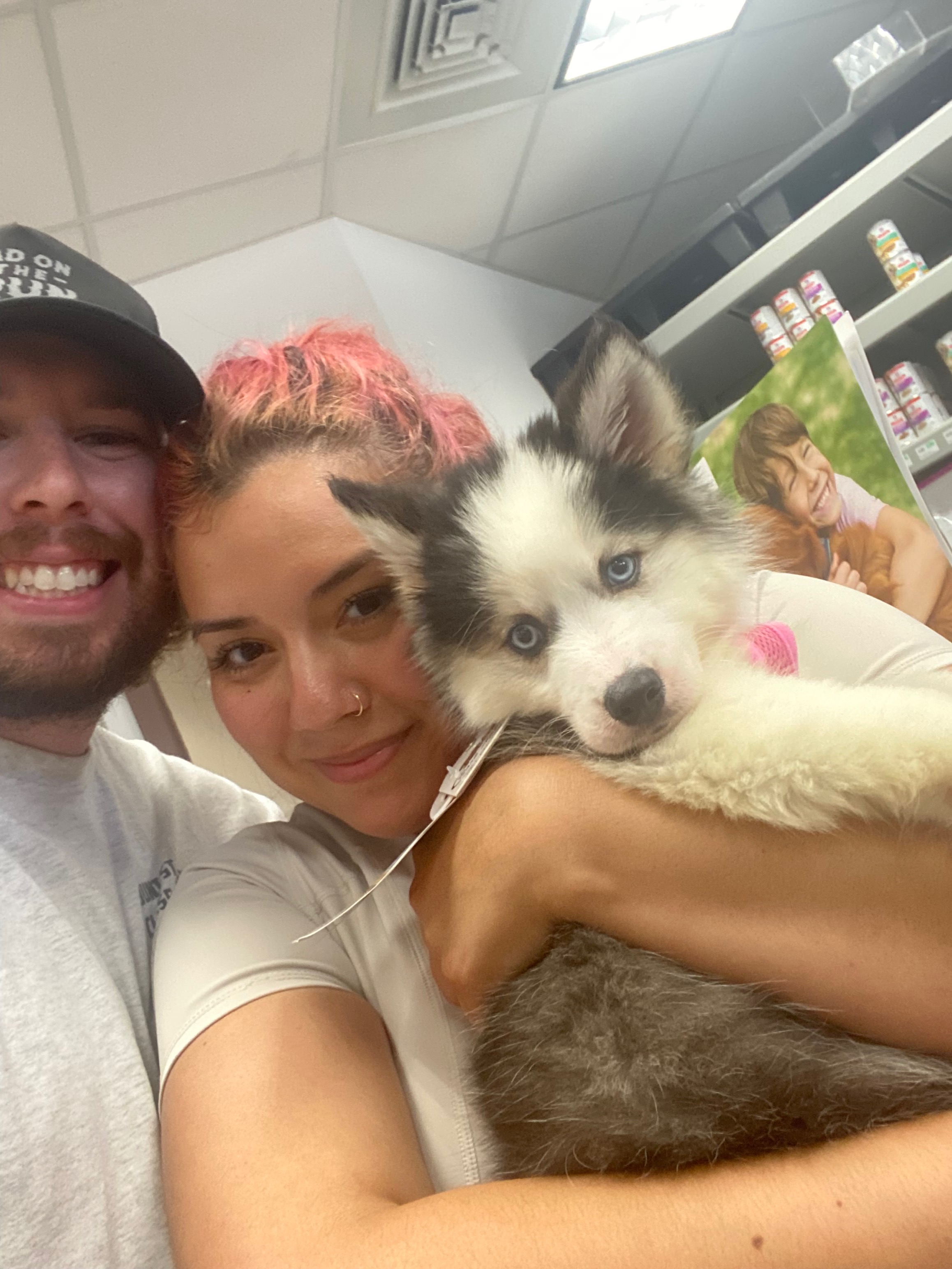 Help Nova Recover from Brain Injury - Doggie Heaven Fund campaign photo, 5 of 6