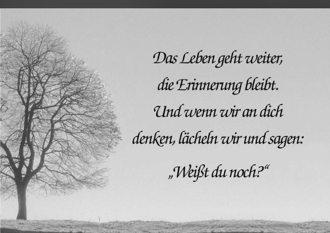 User-uploaded image 1