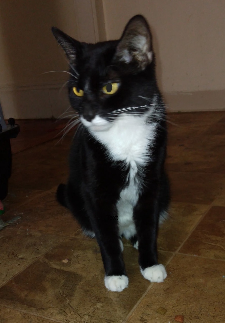 Help Libchein Fight FIP – Time is Critical! campaign photo, 7 of 8