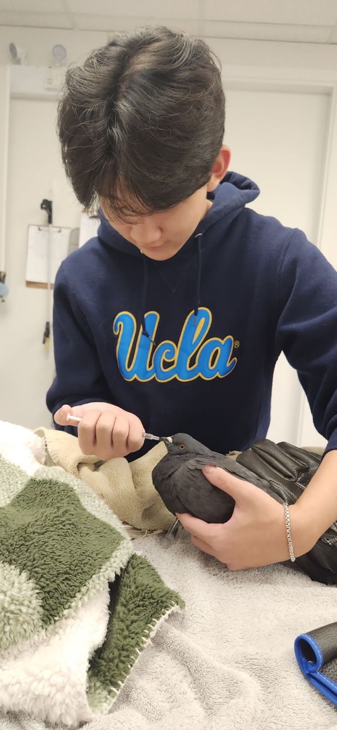 User-uploaded image 1