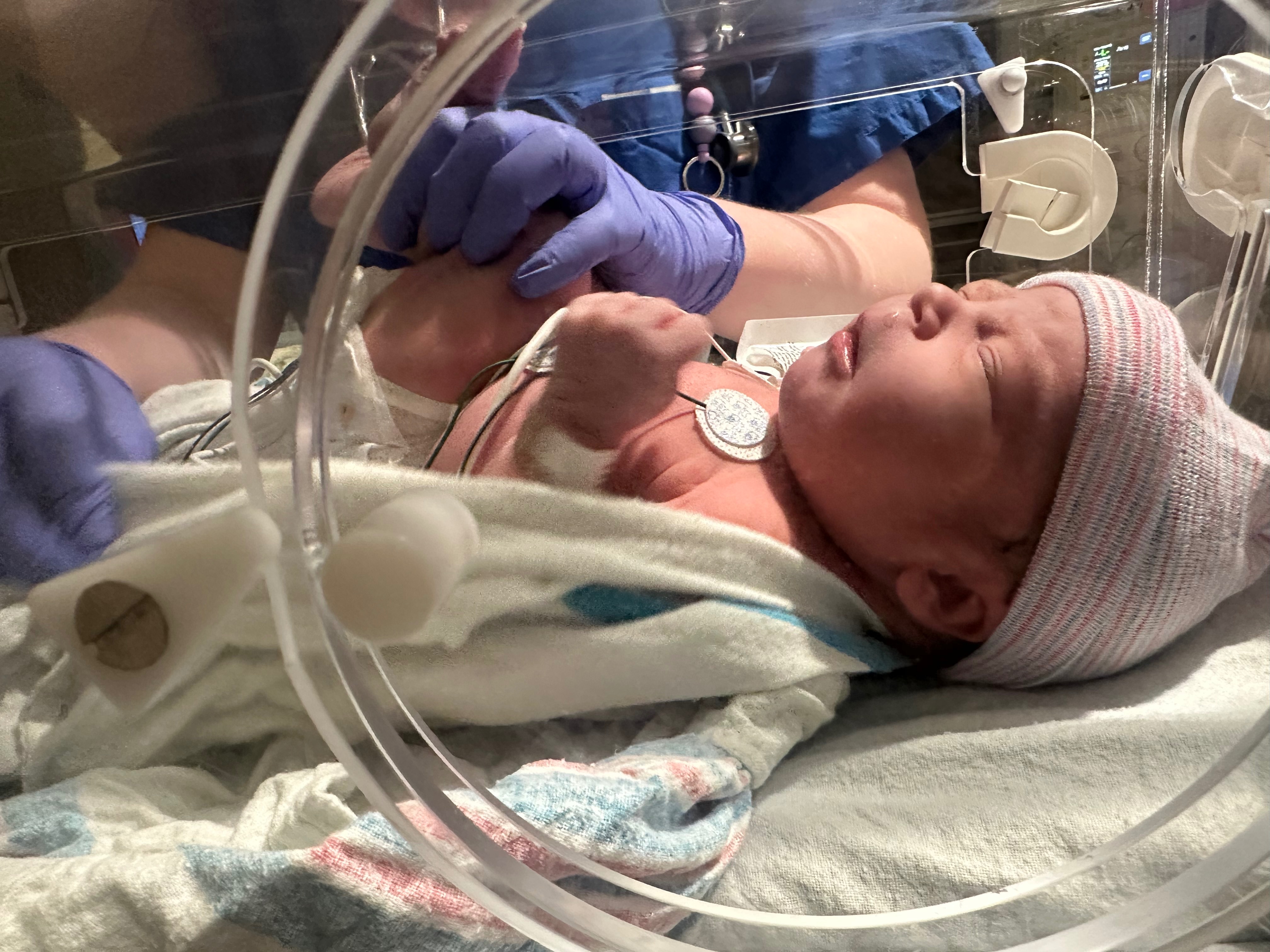 Help Support the McQueens Baby’s Heart Journey campaign photo, 2 of 4