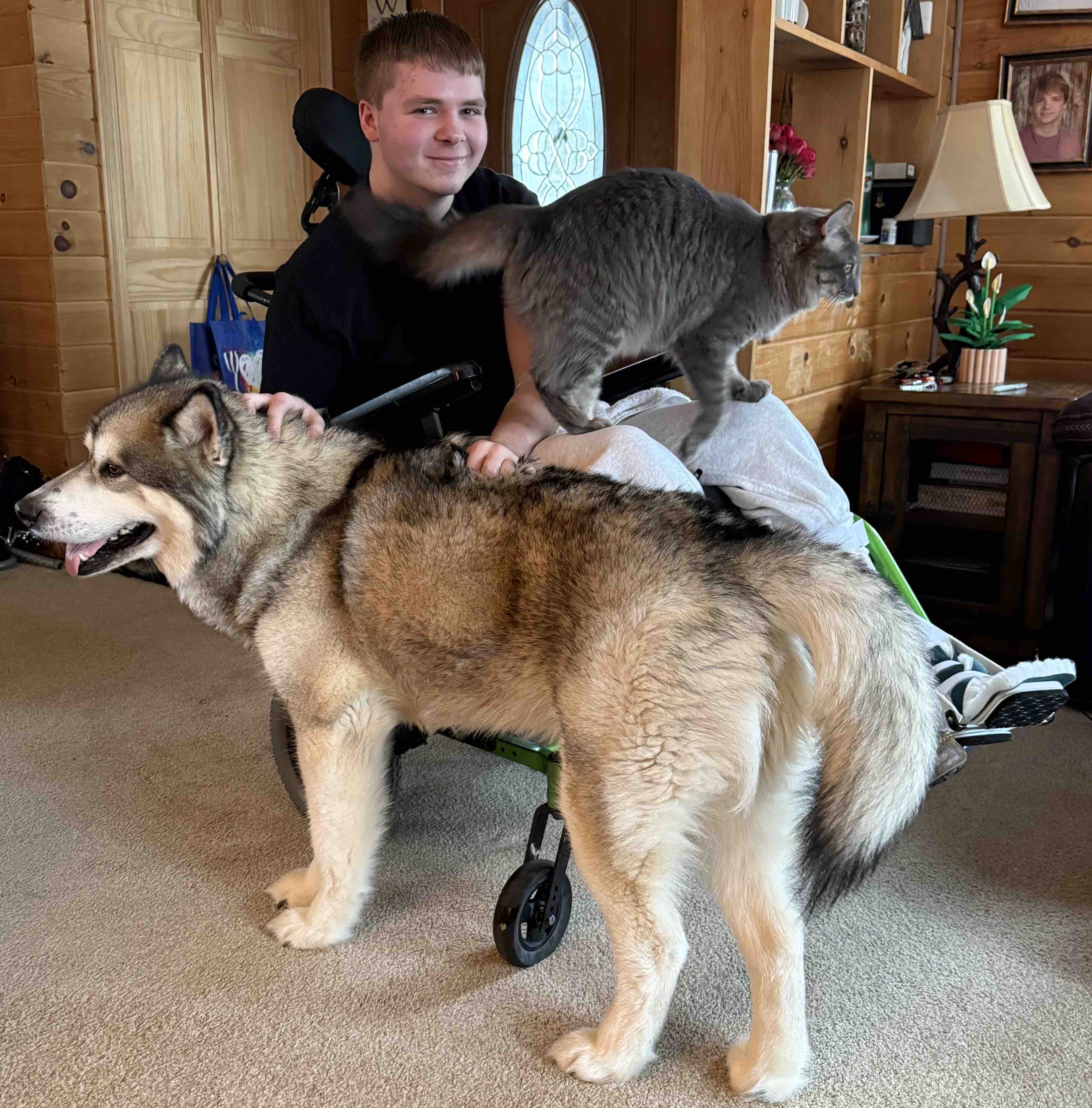 Donate to Logan Henehan’s Rehabilitation and Care campaign photo, 4 of 5