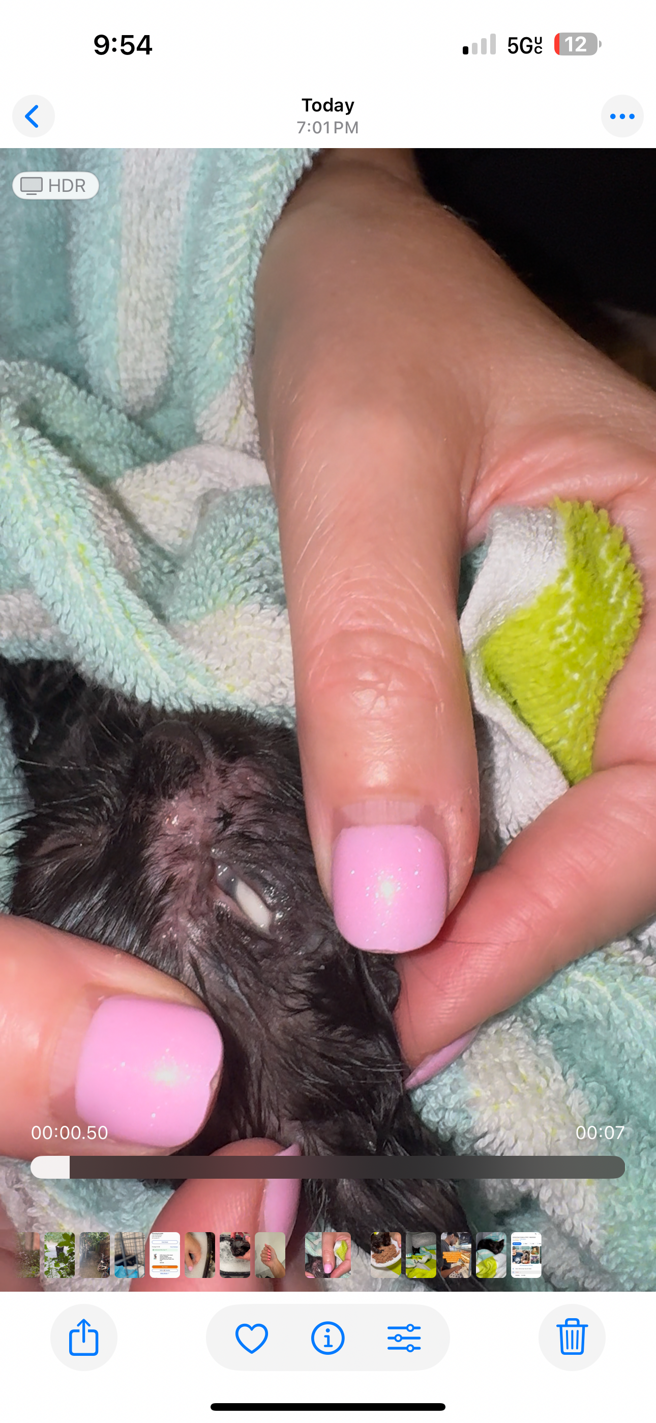 Urgent: Rescued Kitten Needs Emergency Vet Care campaign photo, 4 of 6