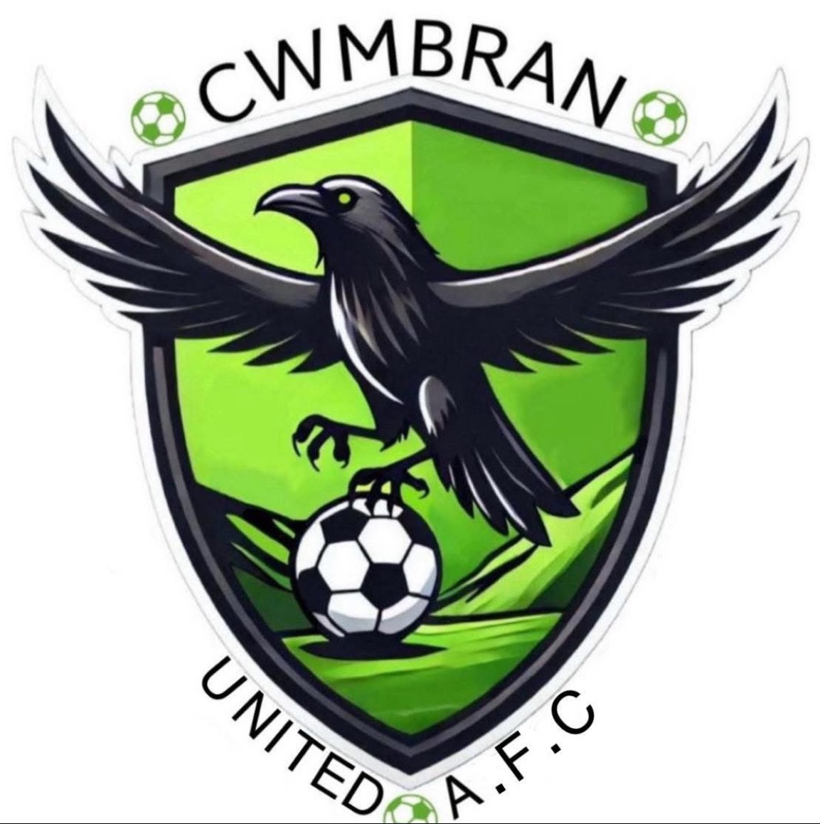 Cwmbran AFC under 8s - Grassroots Football Club Fundraiser campaign photo, 2 of 4