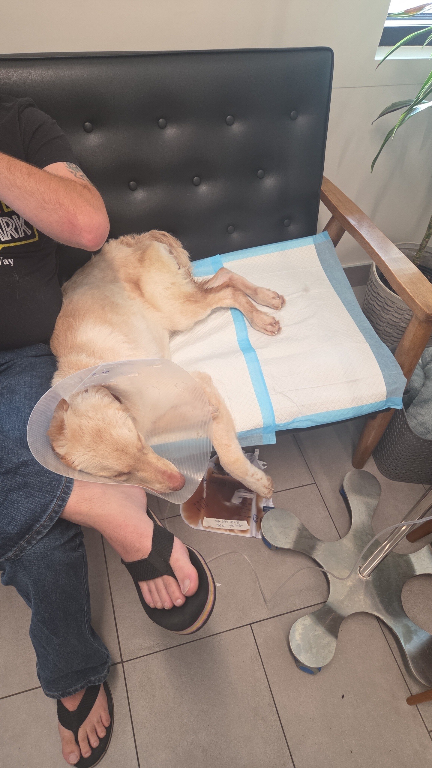 Dargo's Recovery campaign photo, 7 of 8
