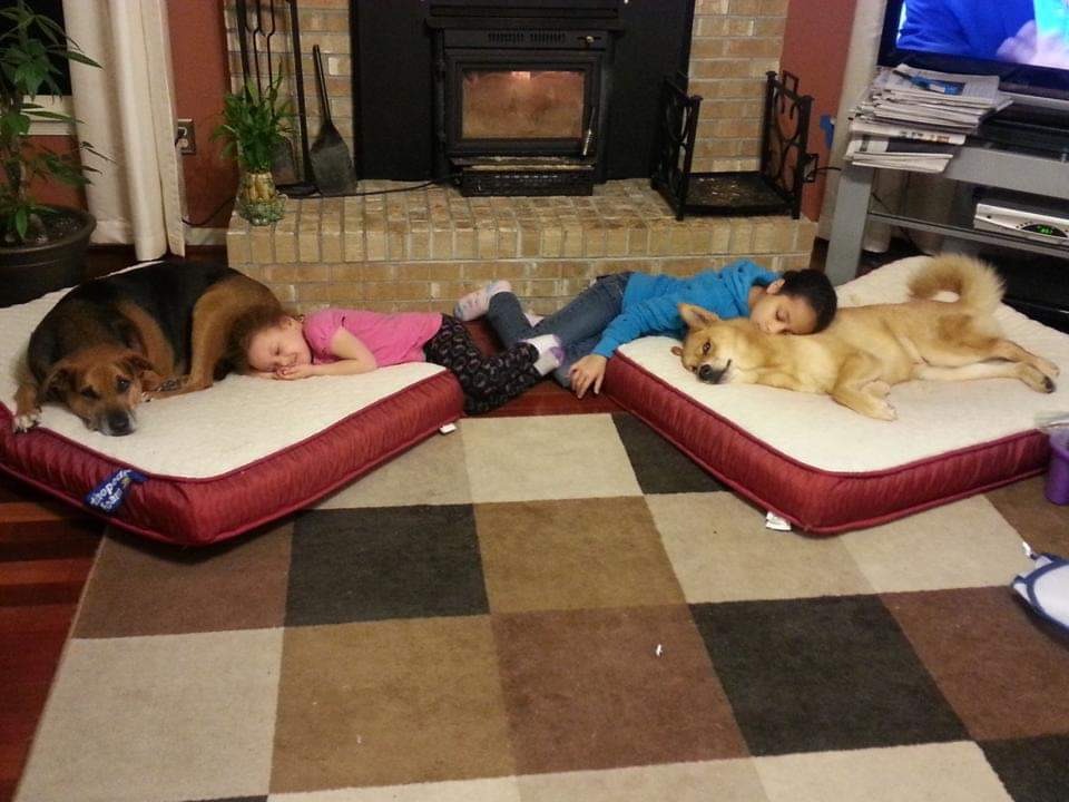 Honor Gabby's Love for Animals: Donate Today campaign photo, 7 of 8