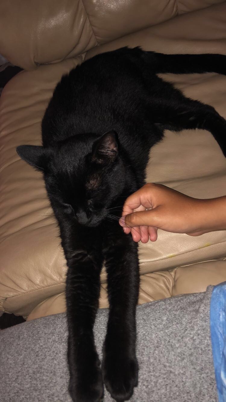 Honor Gabby's Love for Animals: Donate Today campaign photo, 2 of 8