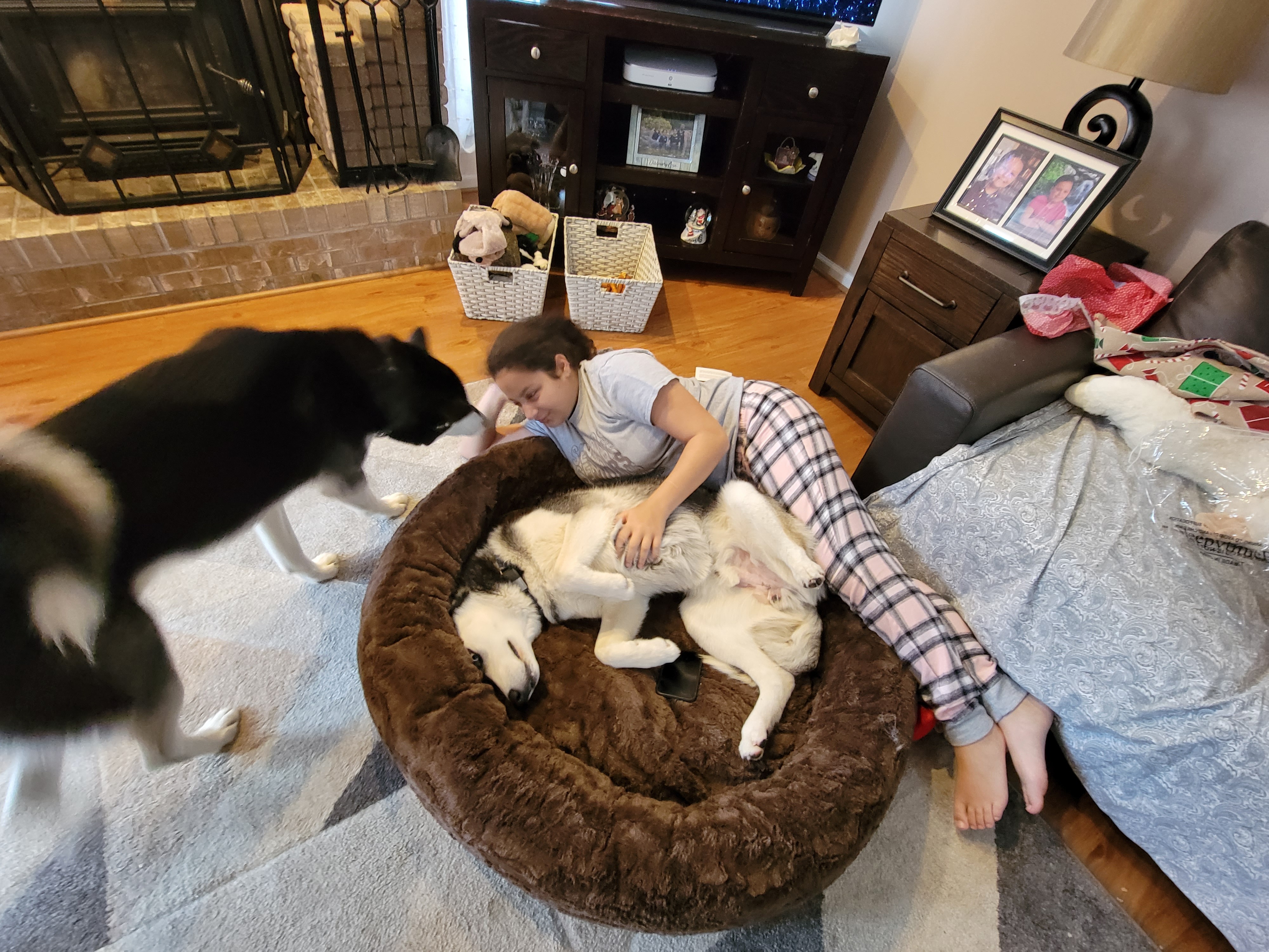Honor Gabby's Love for Animals: Donate Today campaign photo, 5 of 8
