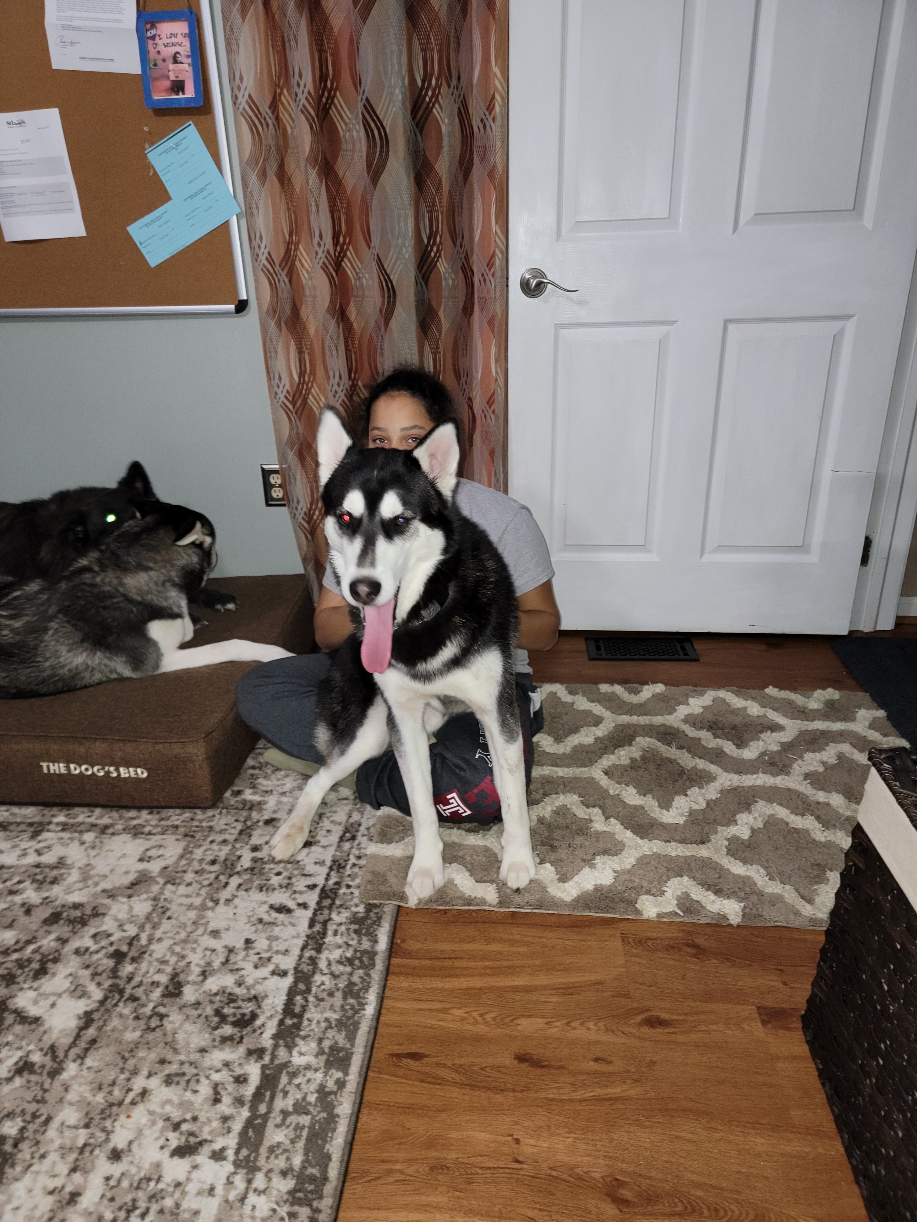 Honor Gabby's Love for Animals: Donate Today campaign photo, 6 of 8