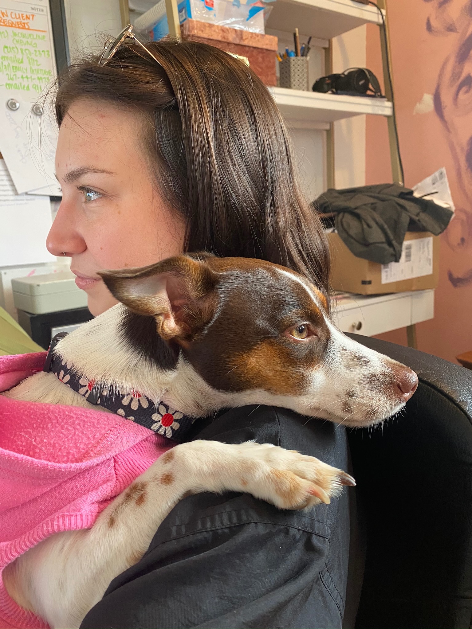 Helping Jill provide comfort, love, and relief for Lumi campaign photo, 6 of 8
