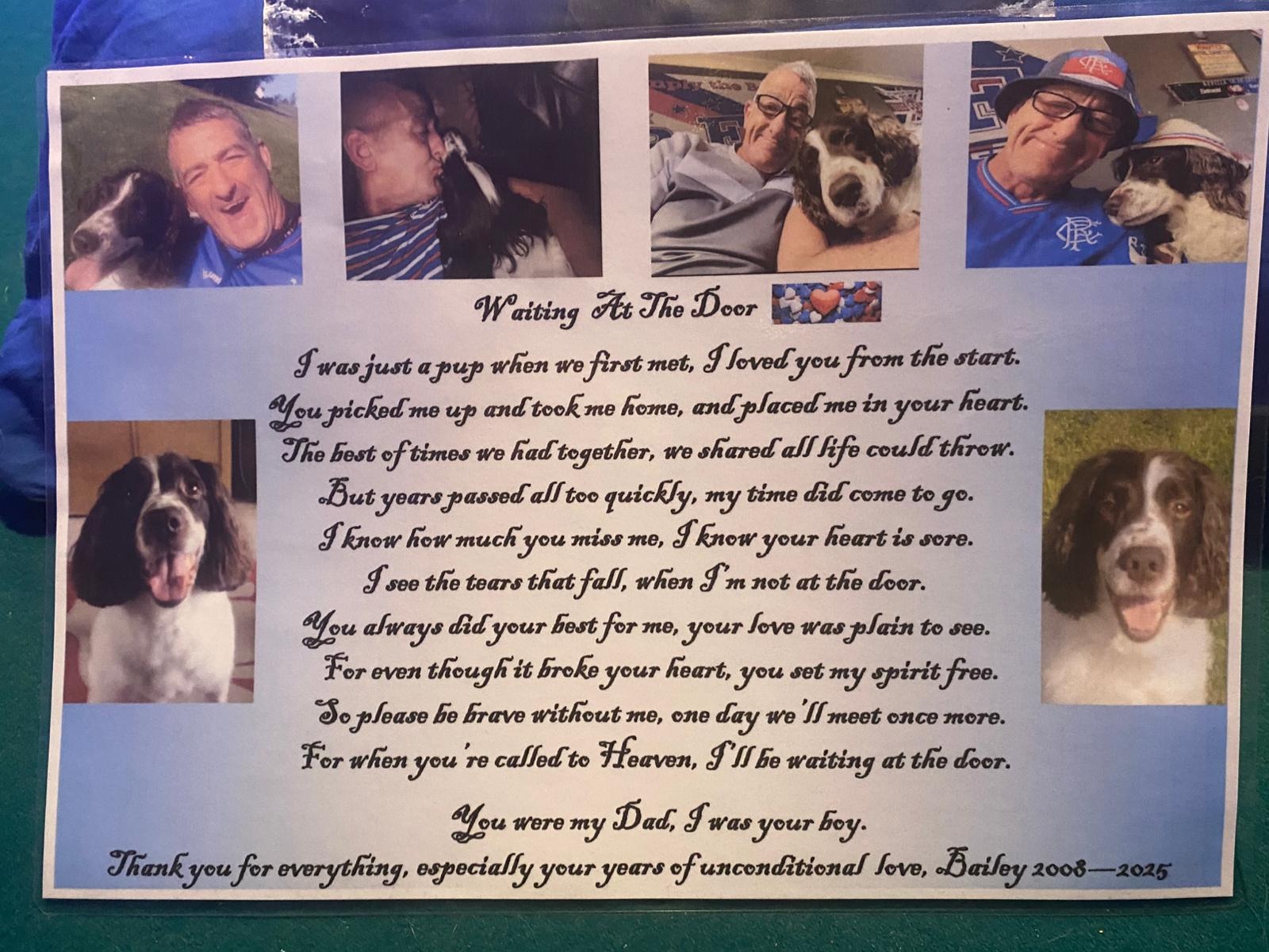 Mr Bailey. Simply the best dog a man could have. campaign photo, 7 of 8