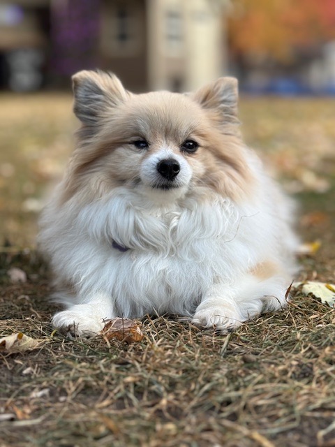 Support Riley's Journey to a Full and Healthy Recovery campaign photo, 7 of 8