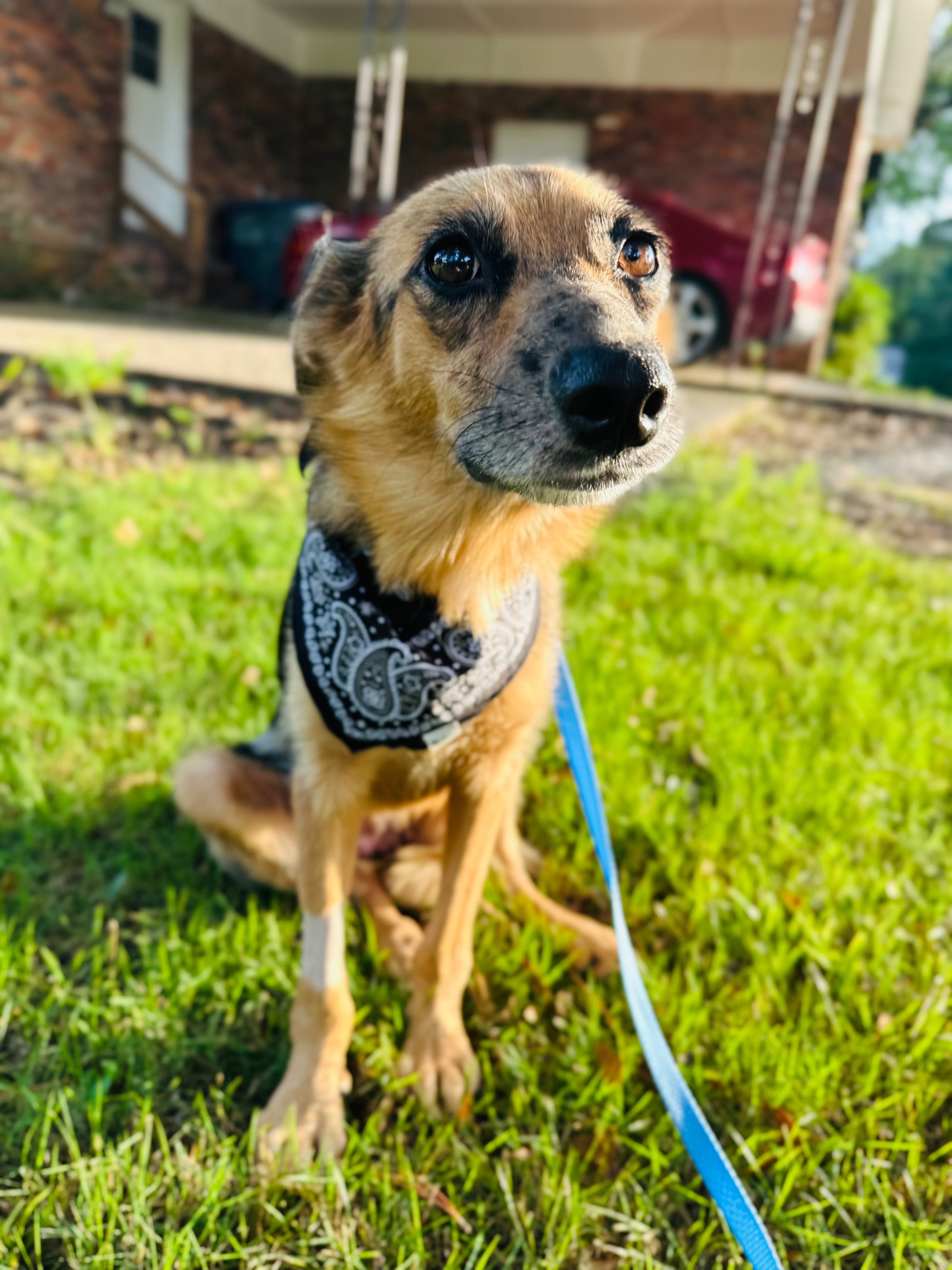 Help Mercy Get The Life She Deserves campaign photo, 6 of 7