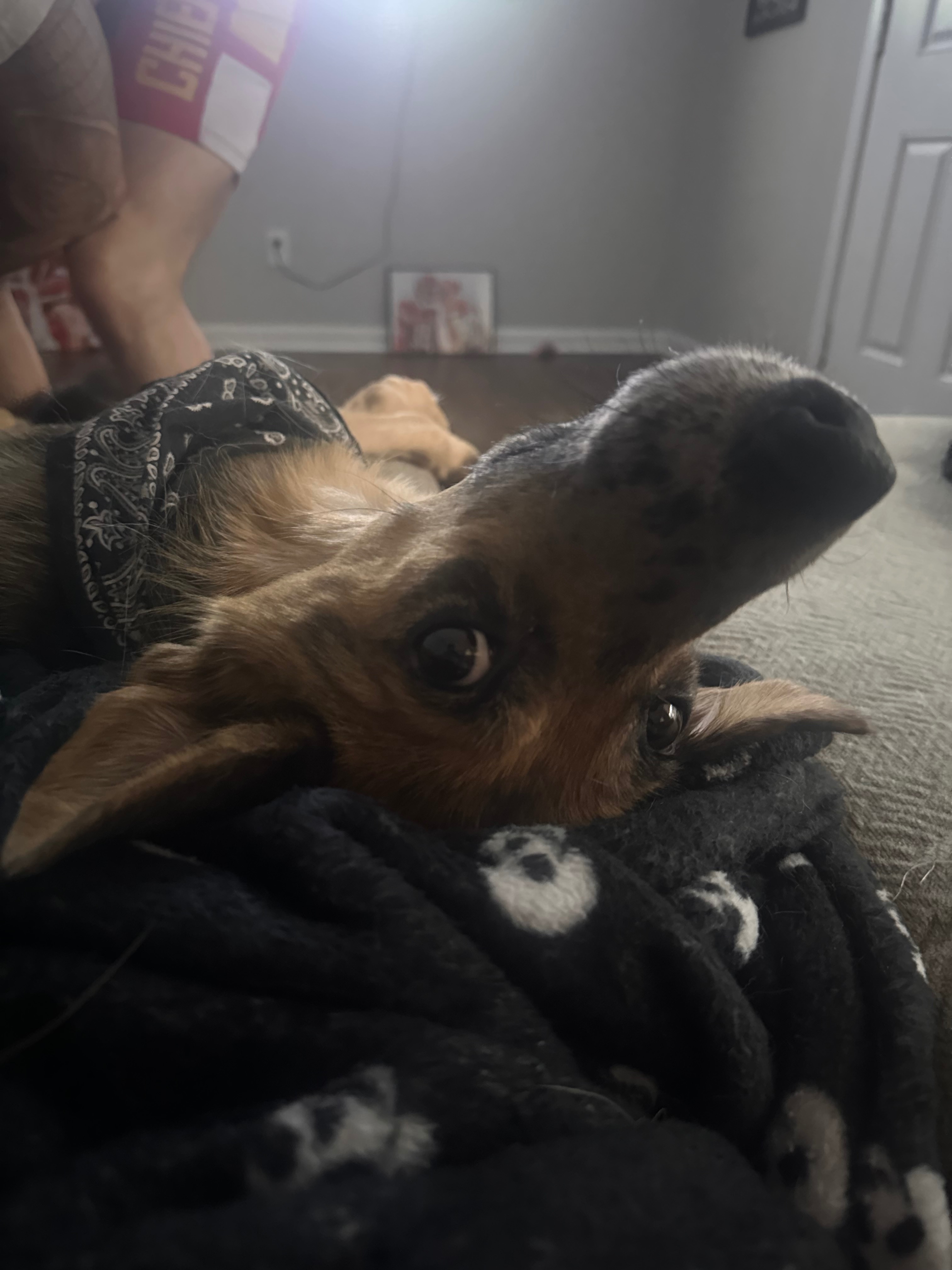 Help Mercy Get The Life She Deserves campaign photo, 2 of 7