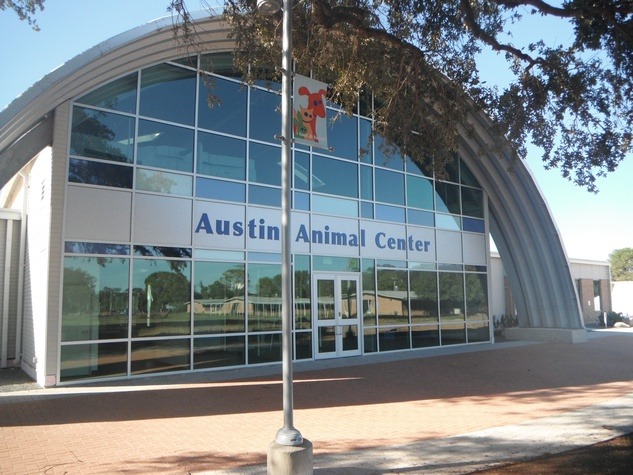 Eagle Scout Project: Austin Animal Center Raised Garden Beds campaign photo, 5 of 5