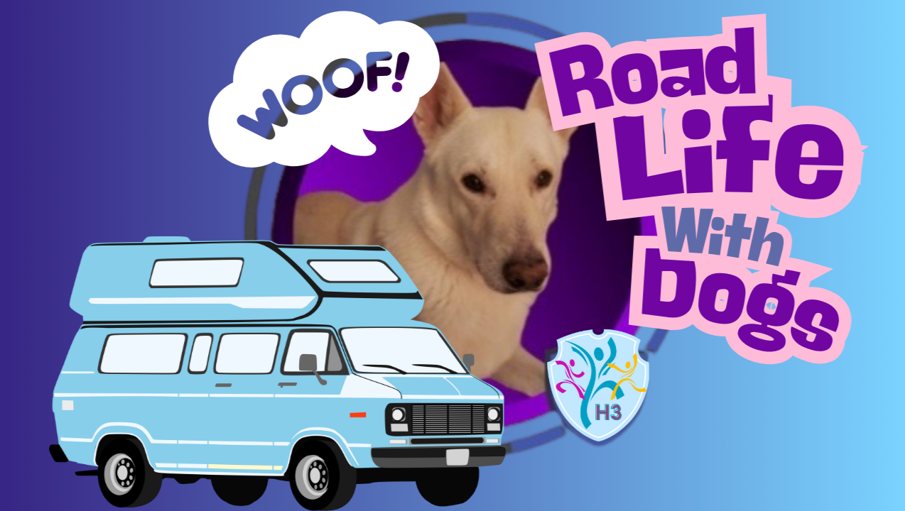 Help Launch Road Life with Dogs Project