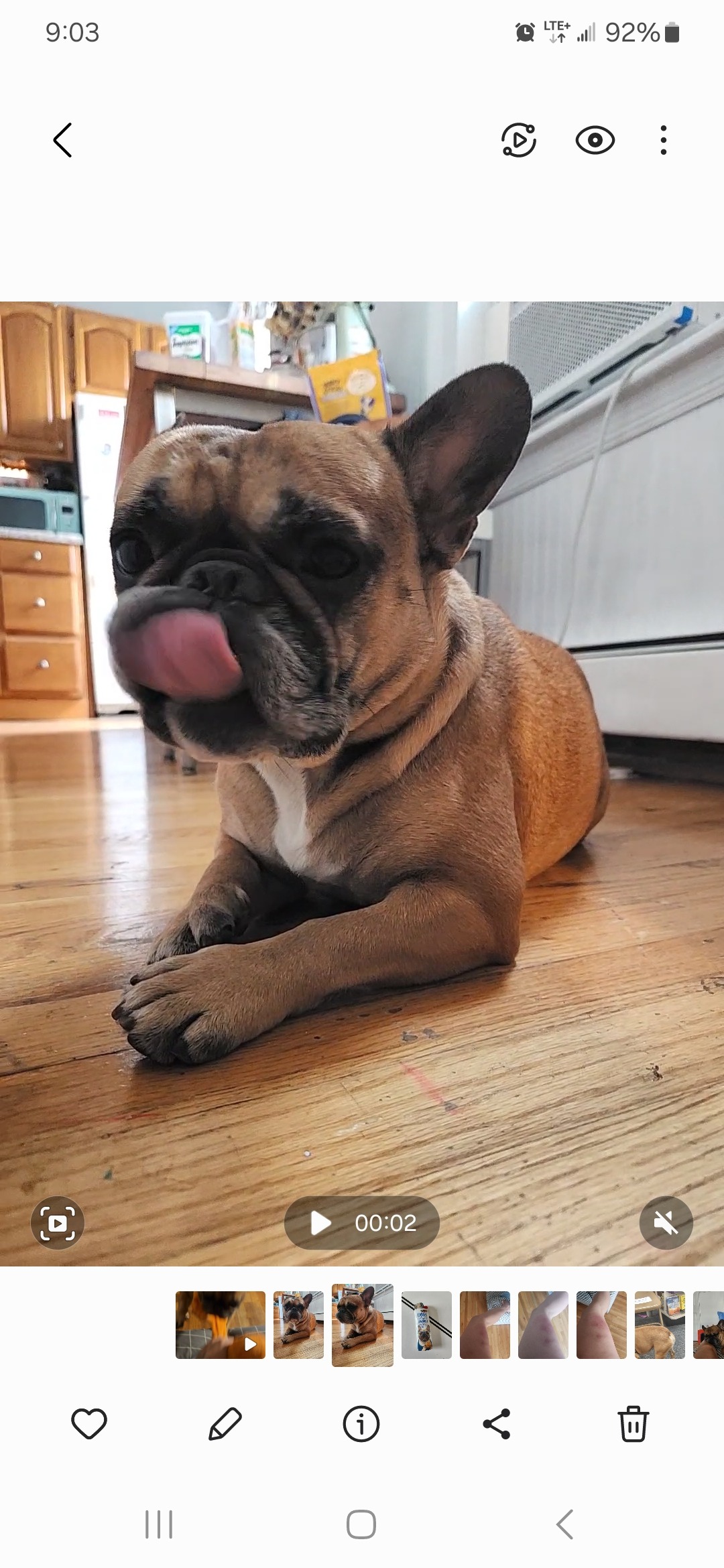 Save Grimly: Urgent Surgery Needed campaign photo, 7 of 8