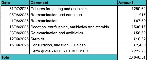 Please help with Verge's specialist vet bills campaign photo, 4 of 6